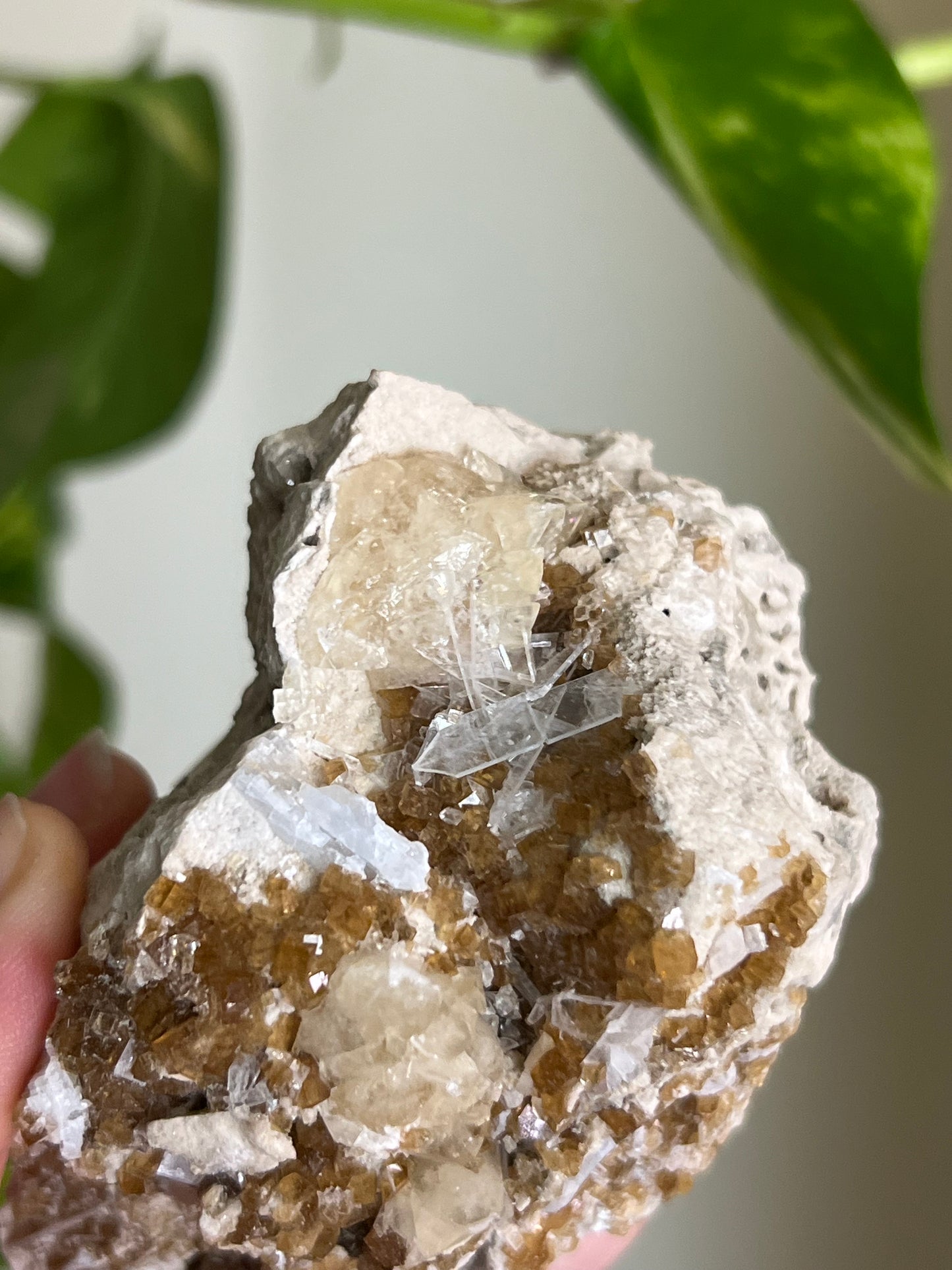 Deep Yellow Fluorite x Celestite Cluster * Rare