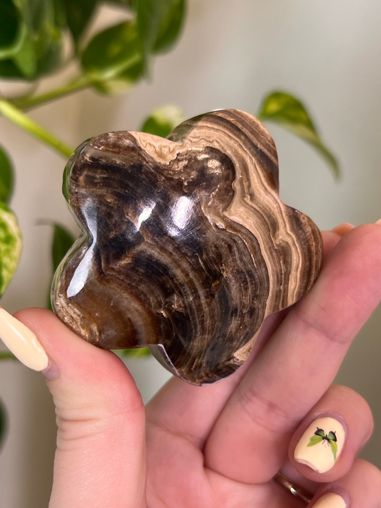 Chocolate Swirl Calcite Groovy Flower - Q