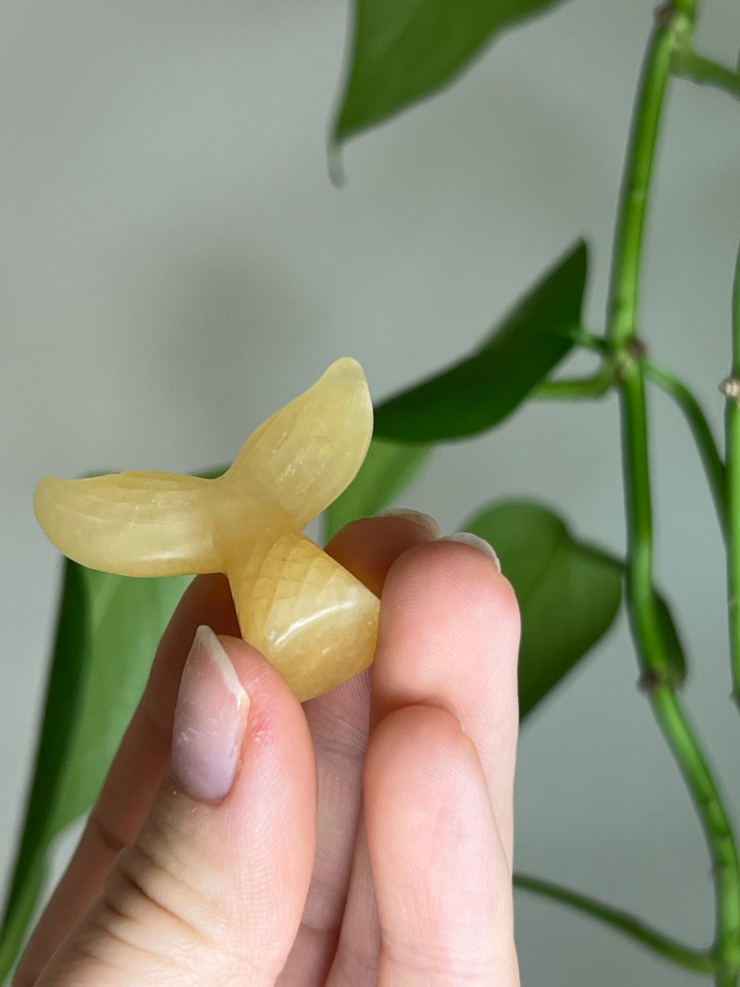 Yellow Calcite Mermaid Fin