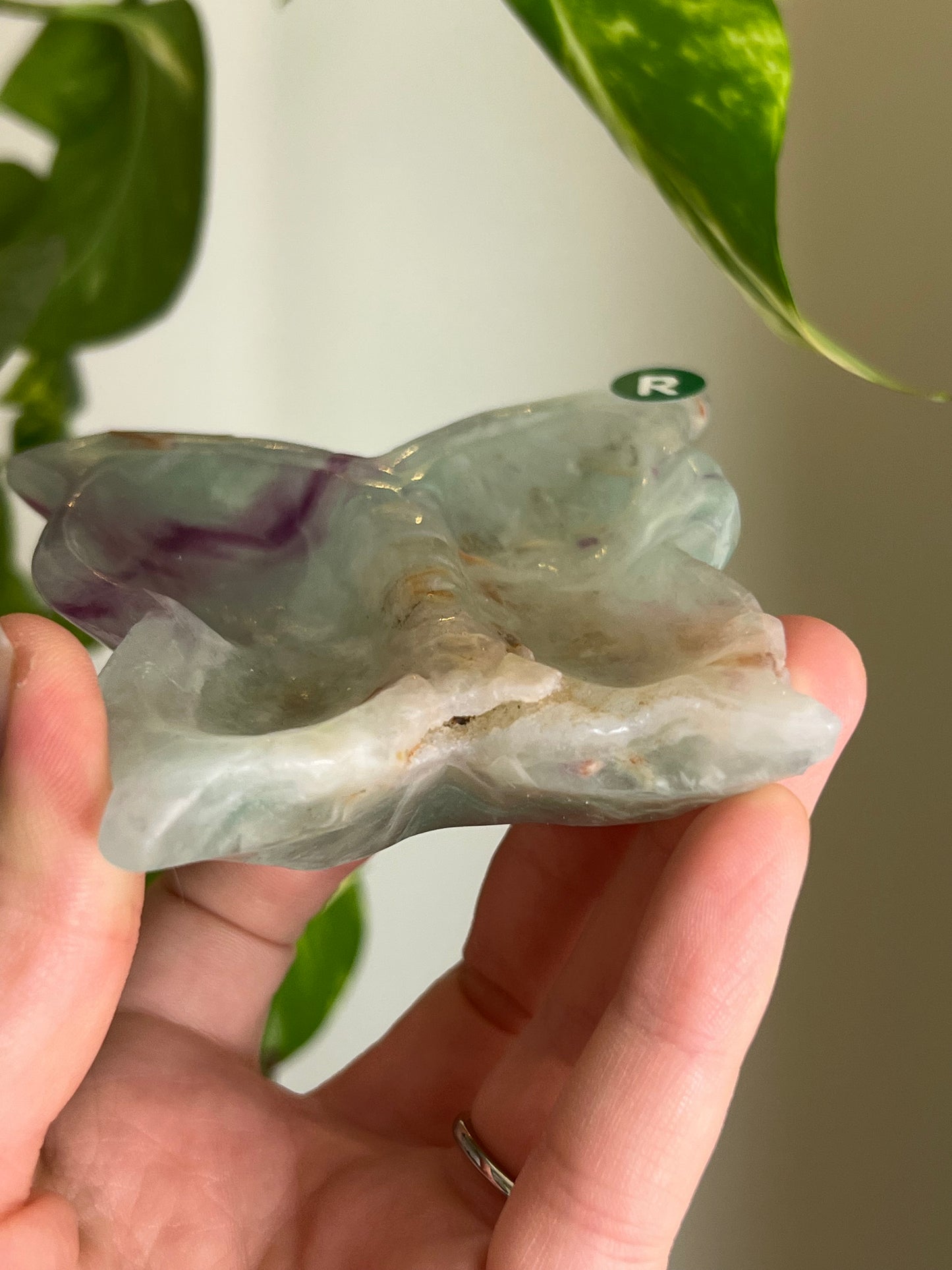 Rainbow Fluorite Butterfly Dish - R