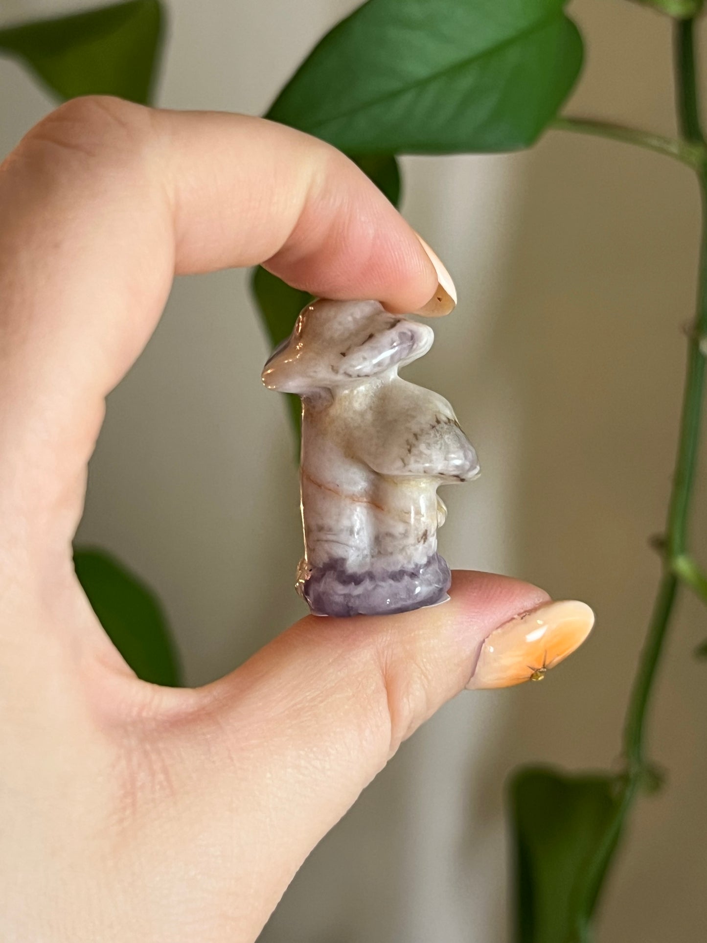 Amethyst Mushroom Cluster