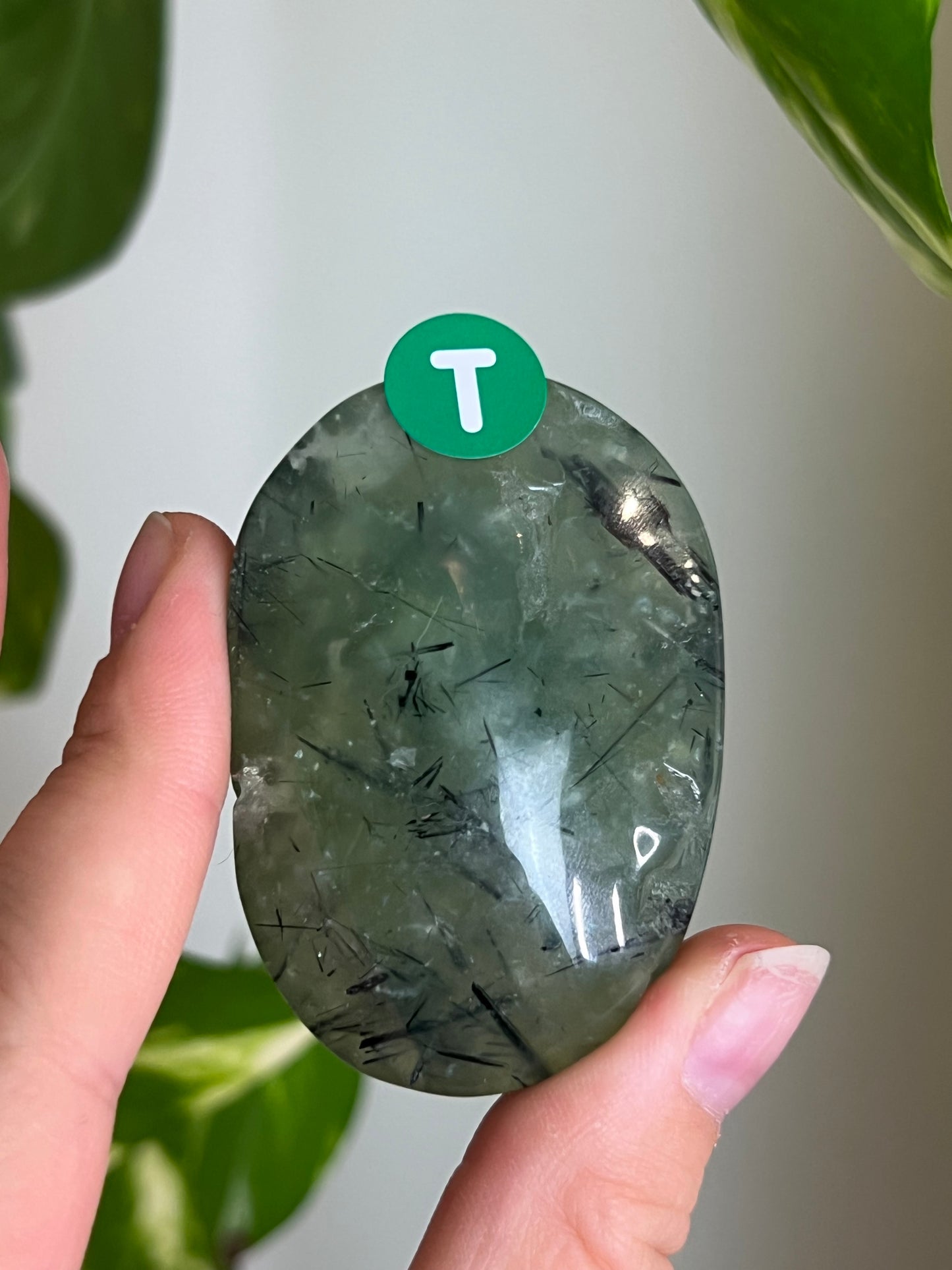 Prehnite with Epidote Palm Stone - T