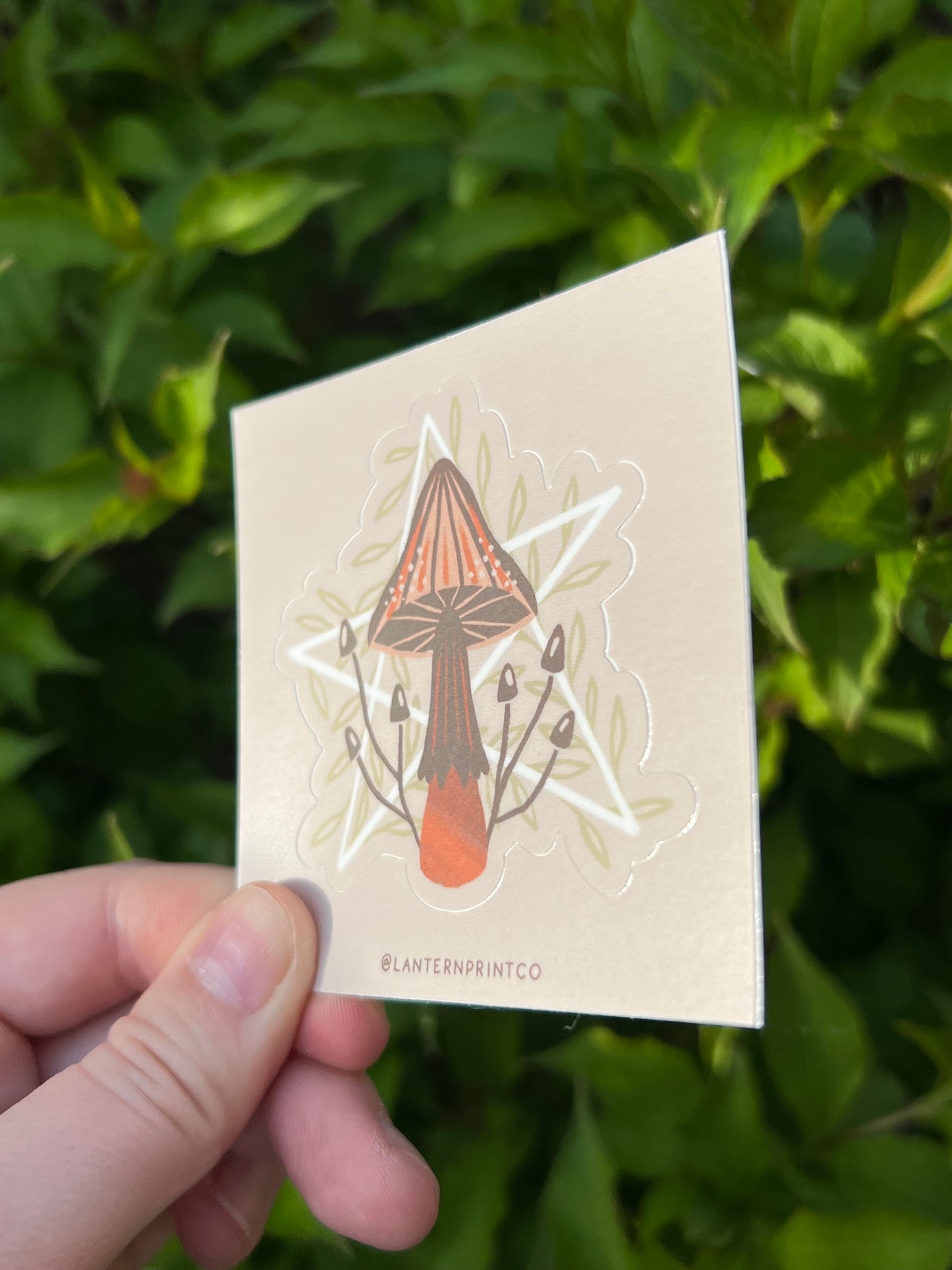 Mushroom Pentacle Sticker