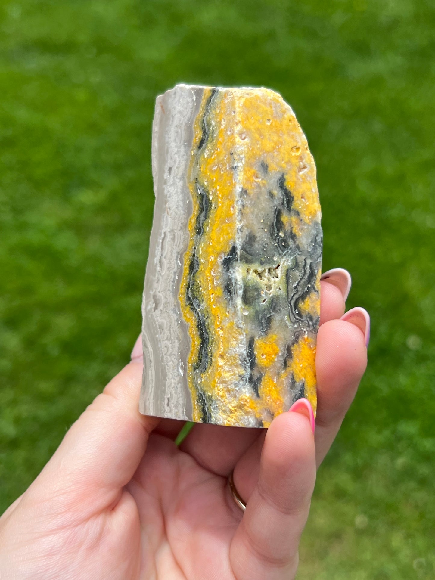 Bumblebee Jasper Freeform 🐝