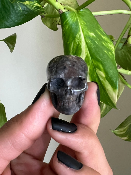 UV Reactive Yooperlite Skull
