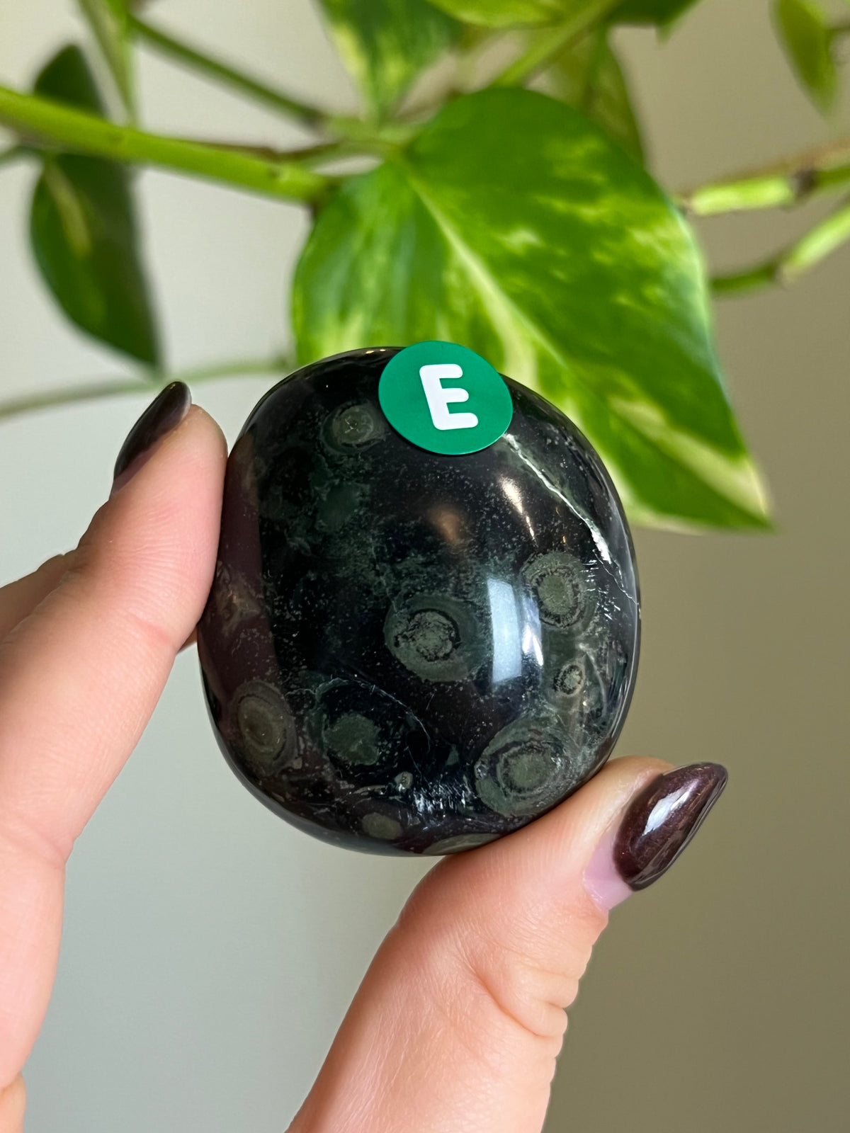 Kambaba Jasper Palm Stone - E