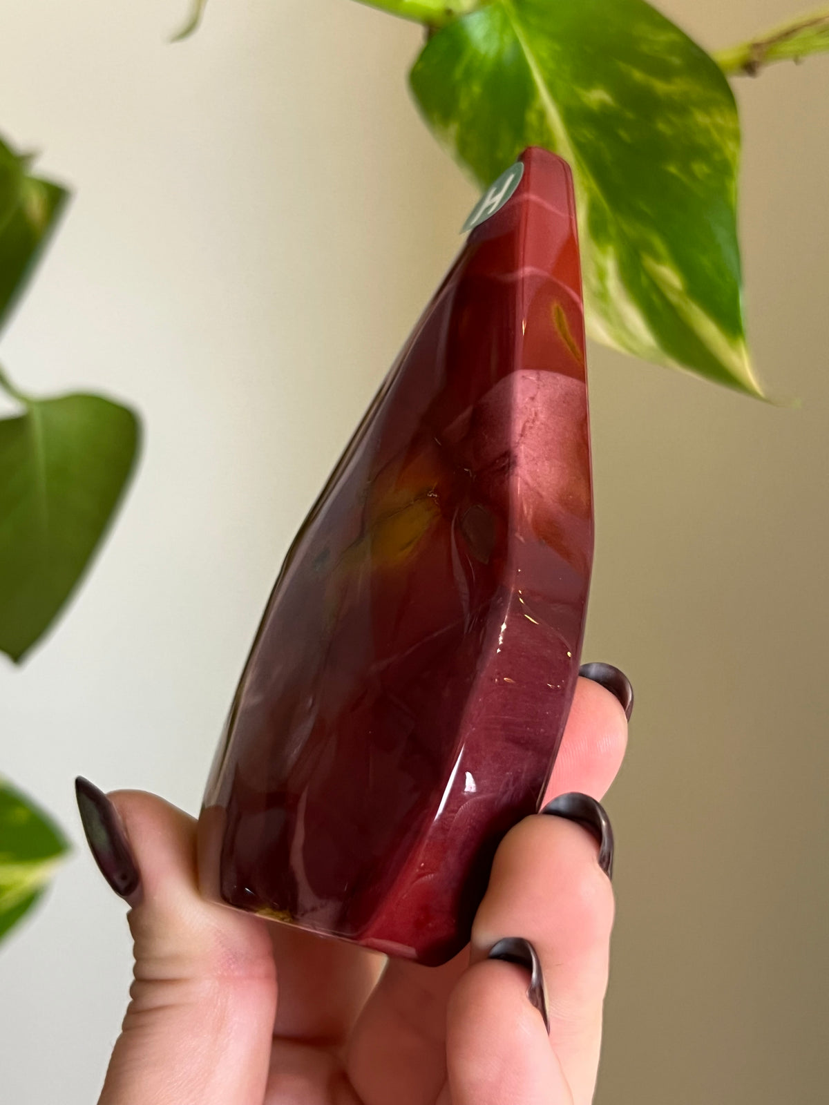 Mookaite Jasper Freeform - H