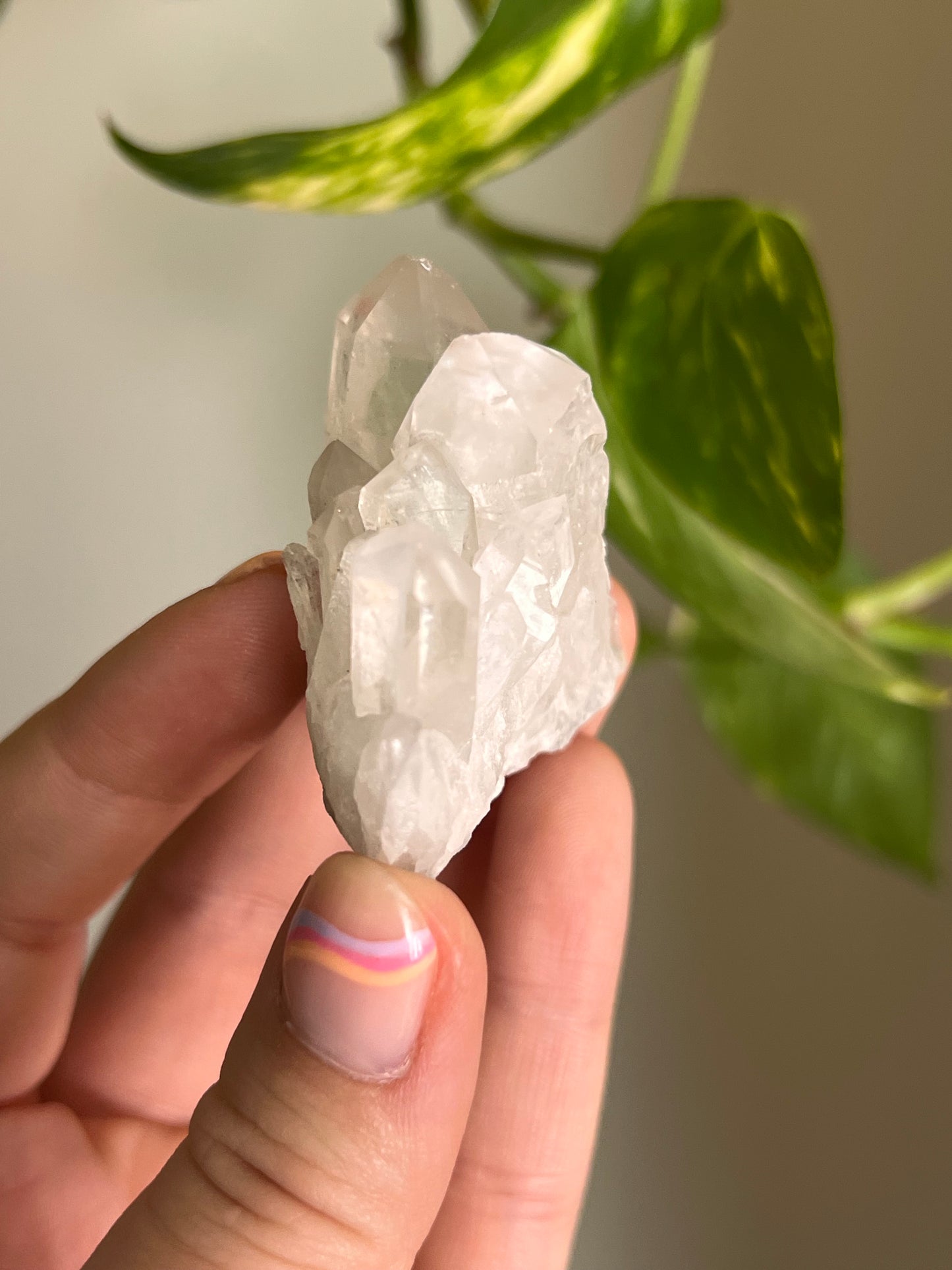 Clear Quartz Cluster - C