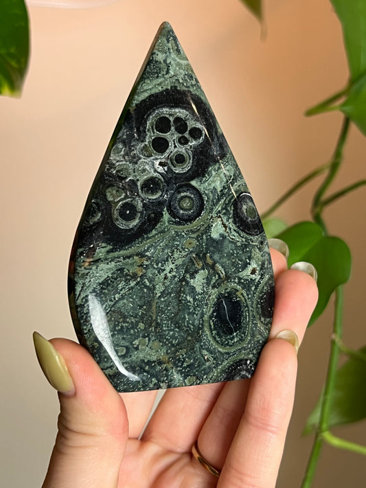Kambaba Jasper Freeform Z