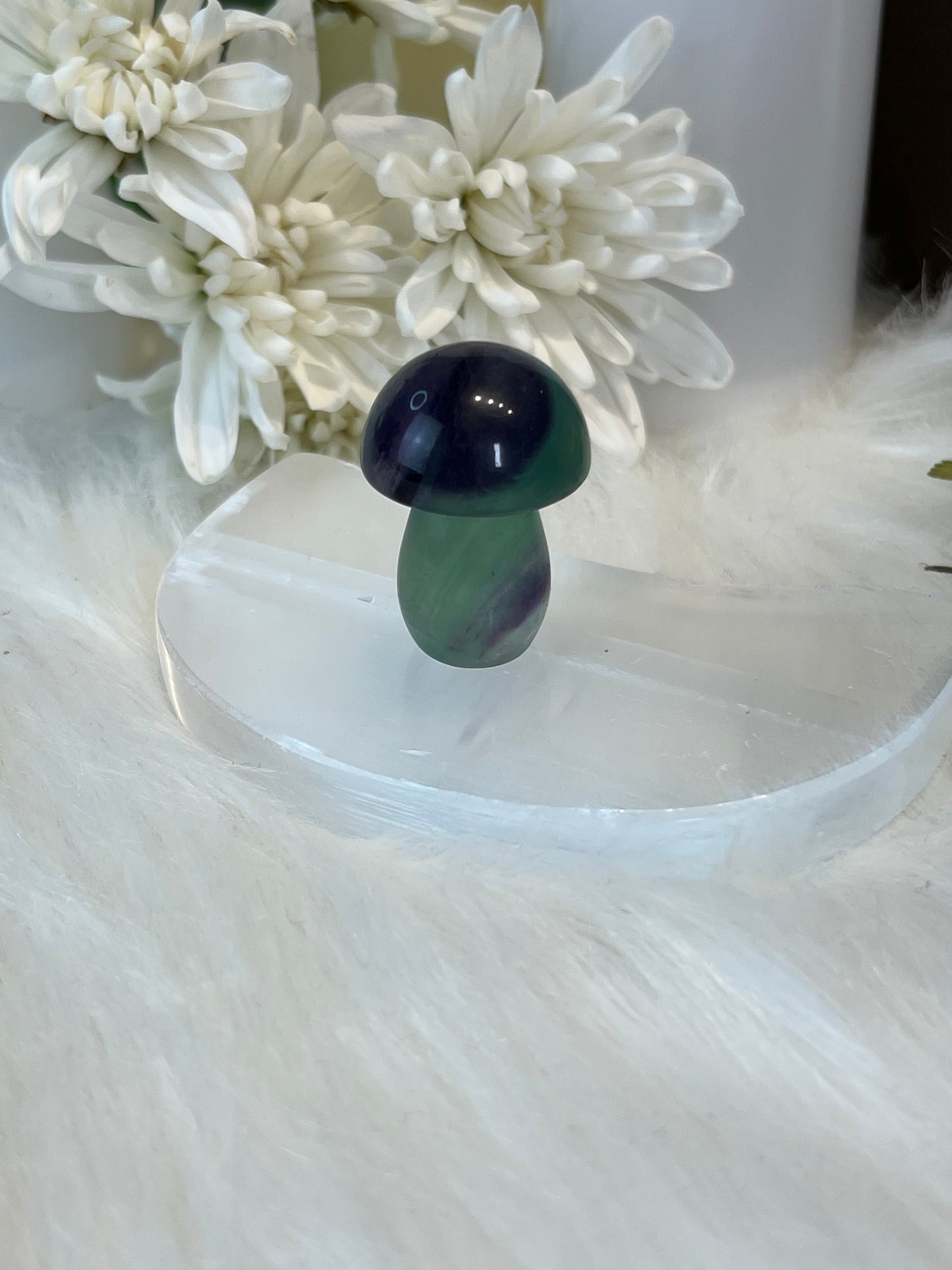 Rainbow Fluorite Mushroom