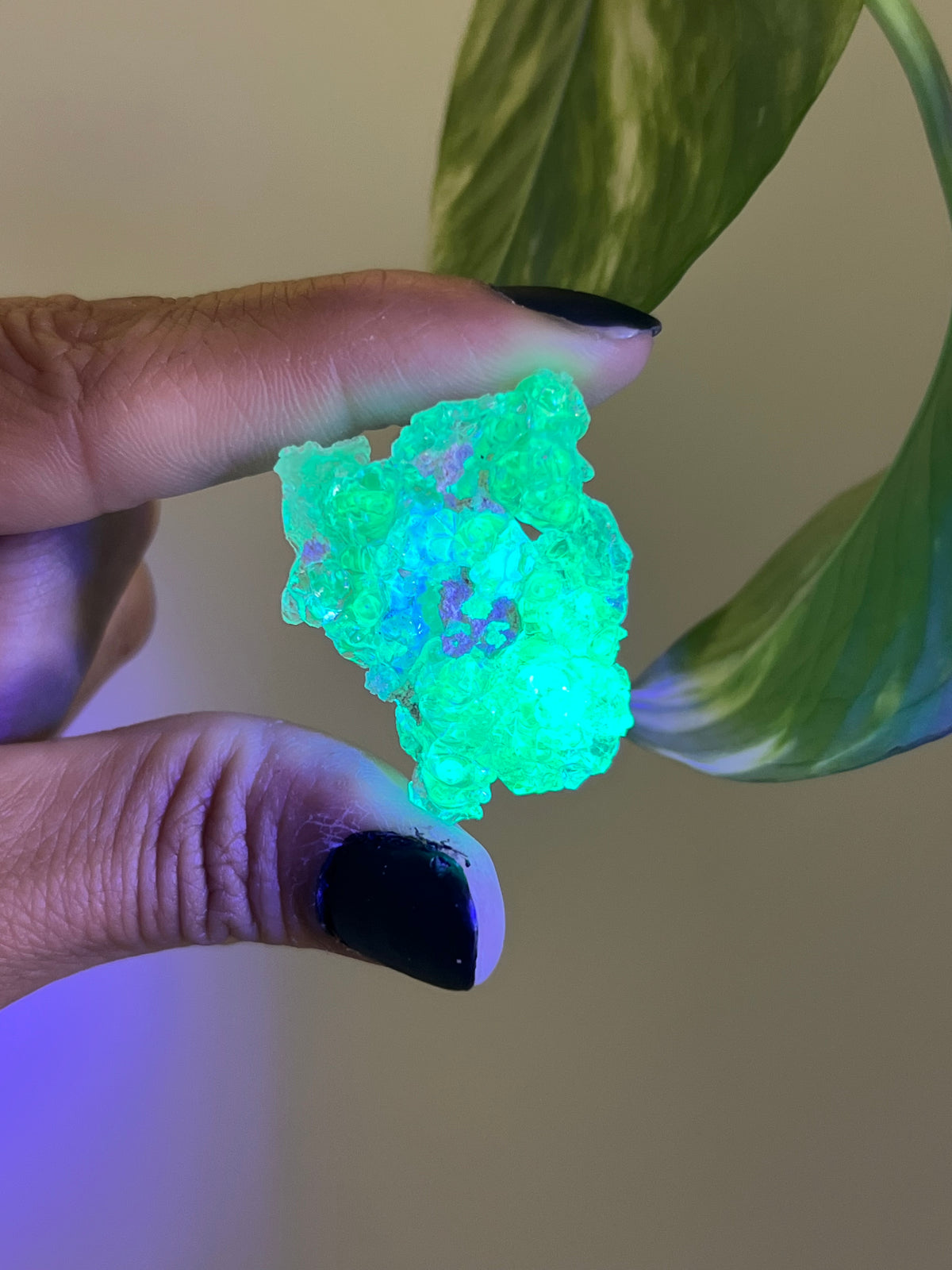 UV Reactive Hyalite Opal - H