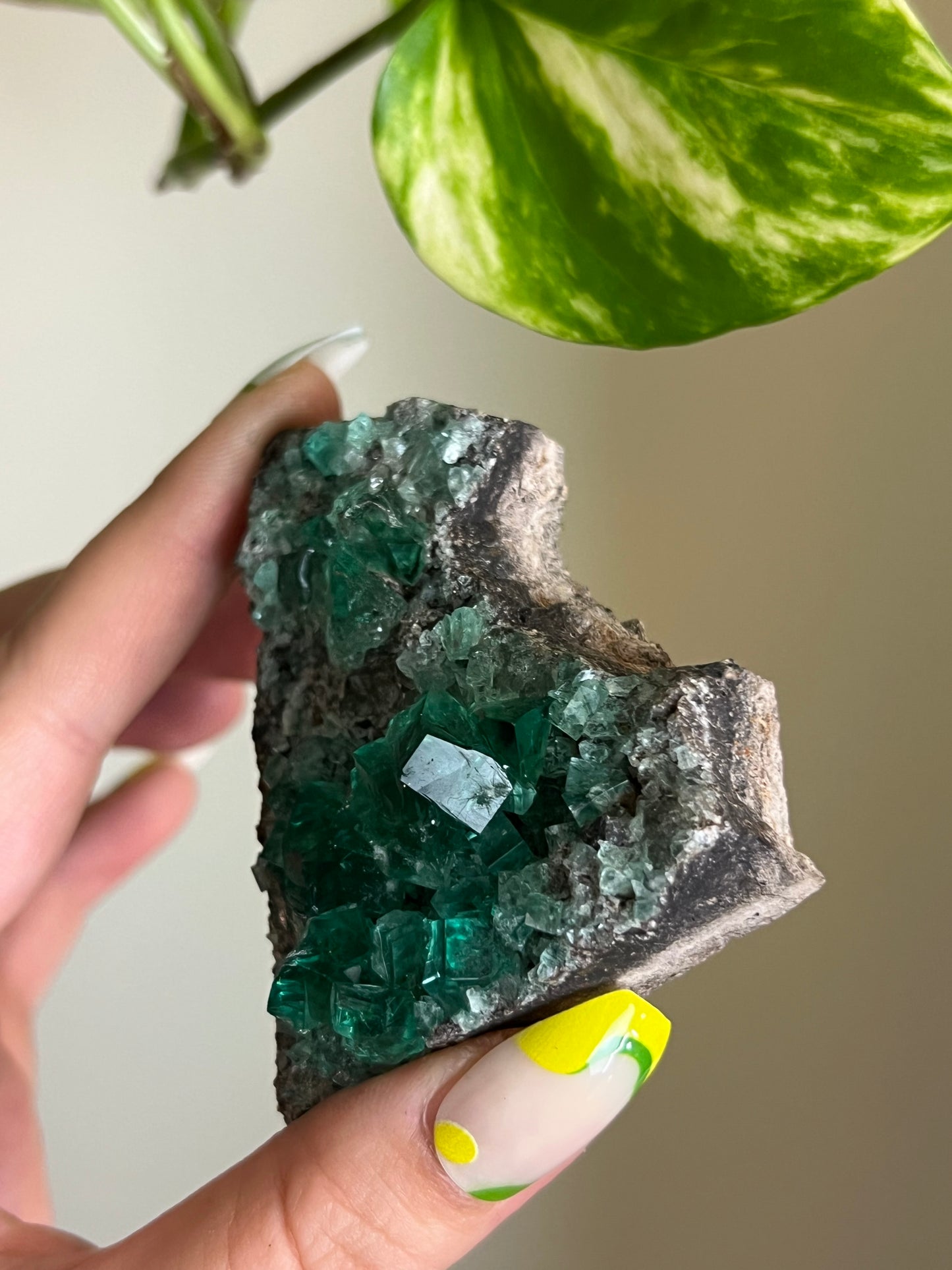 Green Cubic Fluorite Cluster - Z