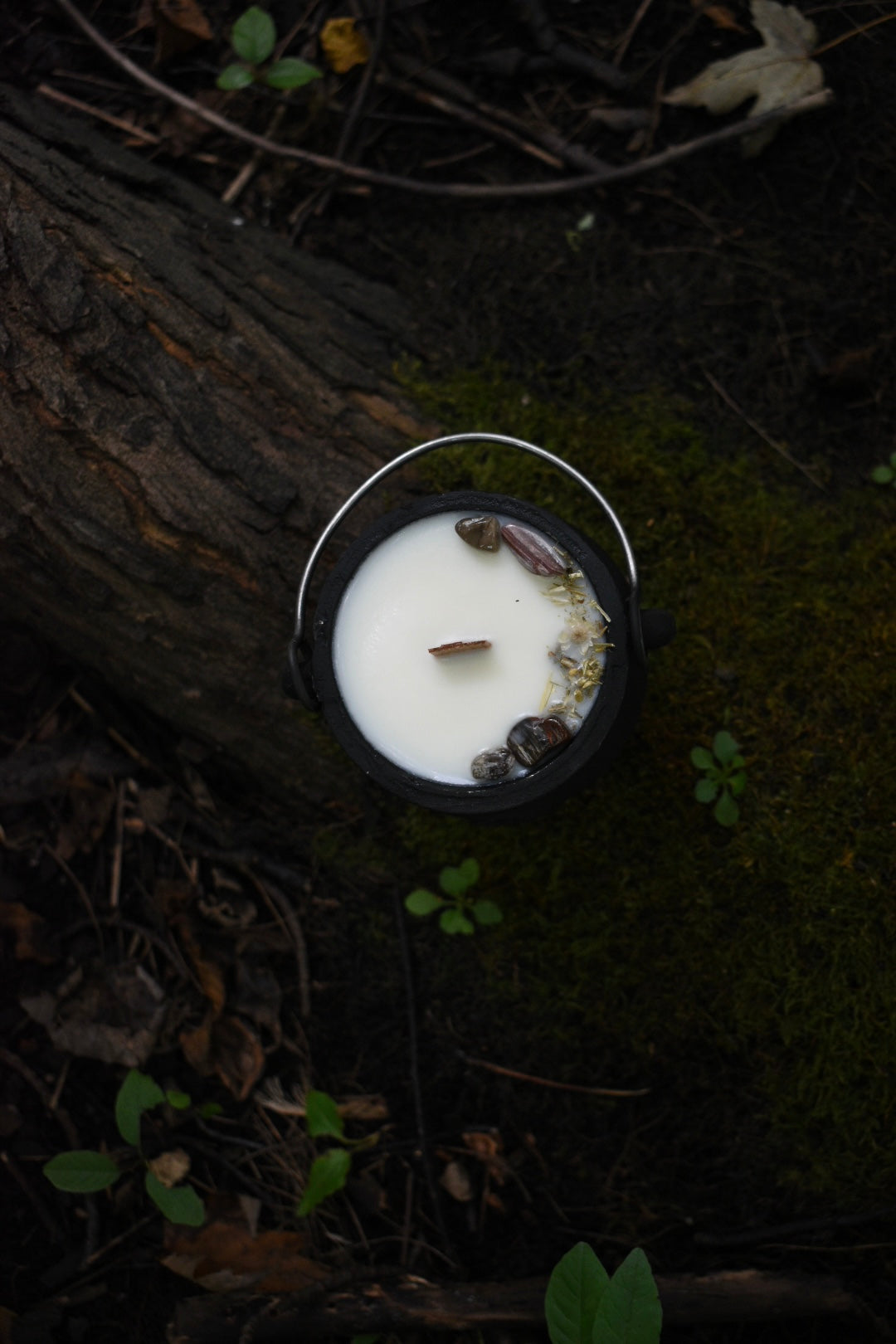 Autumnal Equinox Cauldron Candle | Green Tea + Warm Cedar 🍂