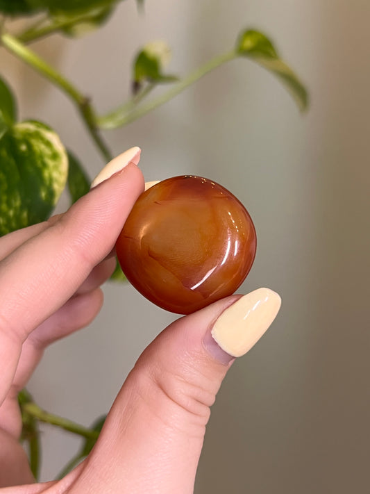 Carnelian Button