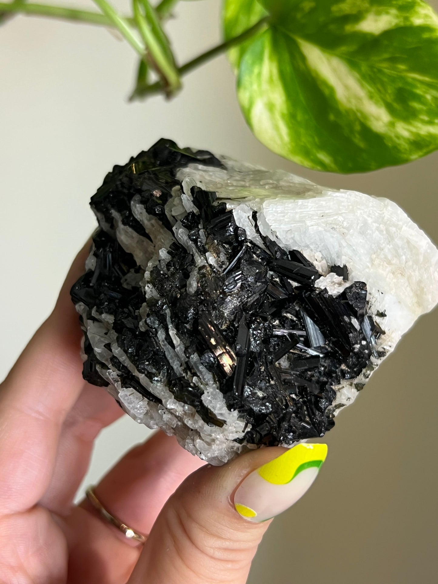 Black Tourmaline on Matrix Specimen