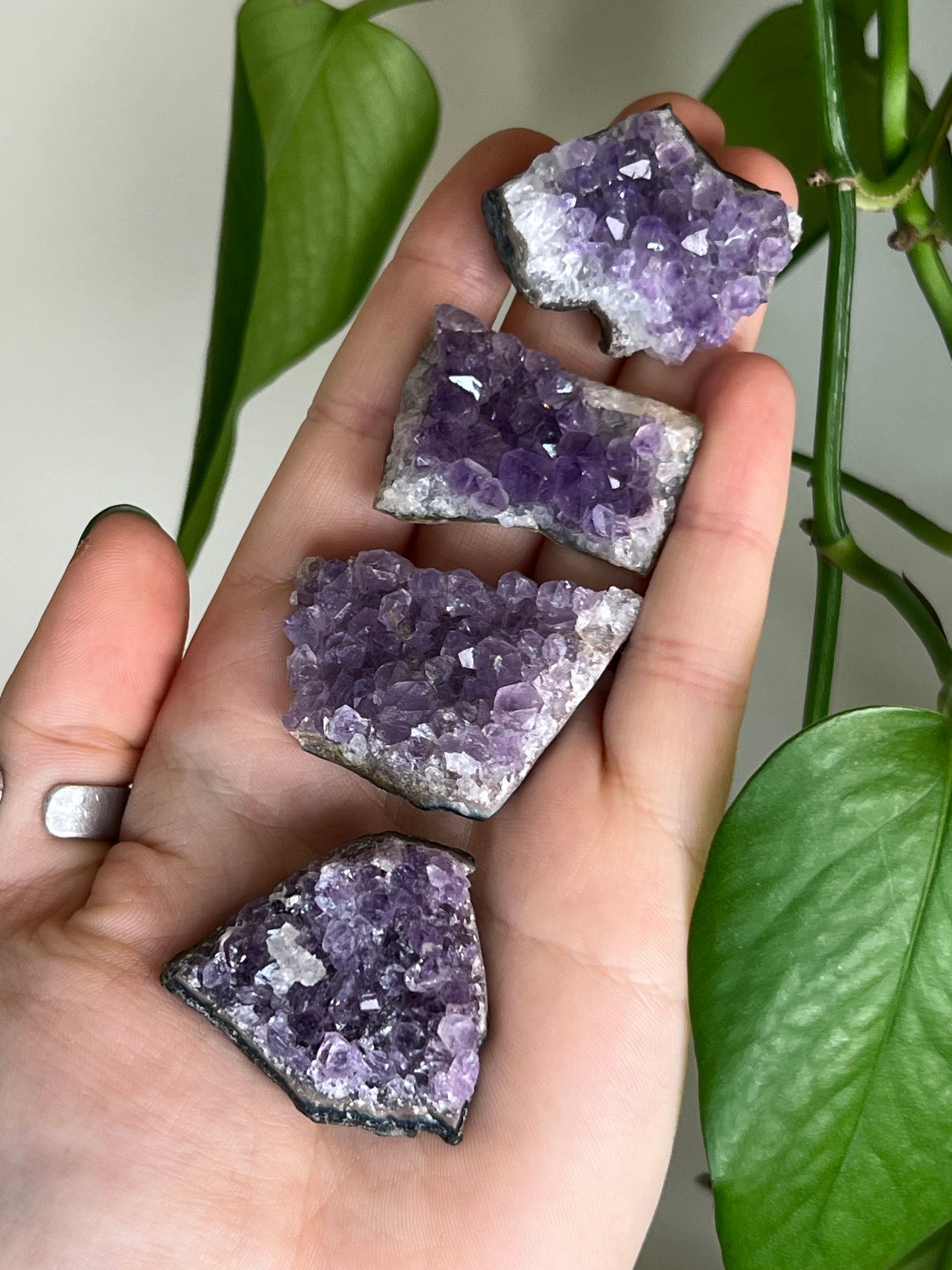 Amethyst Cluster Mini