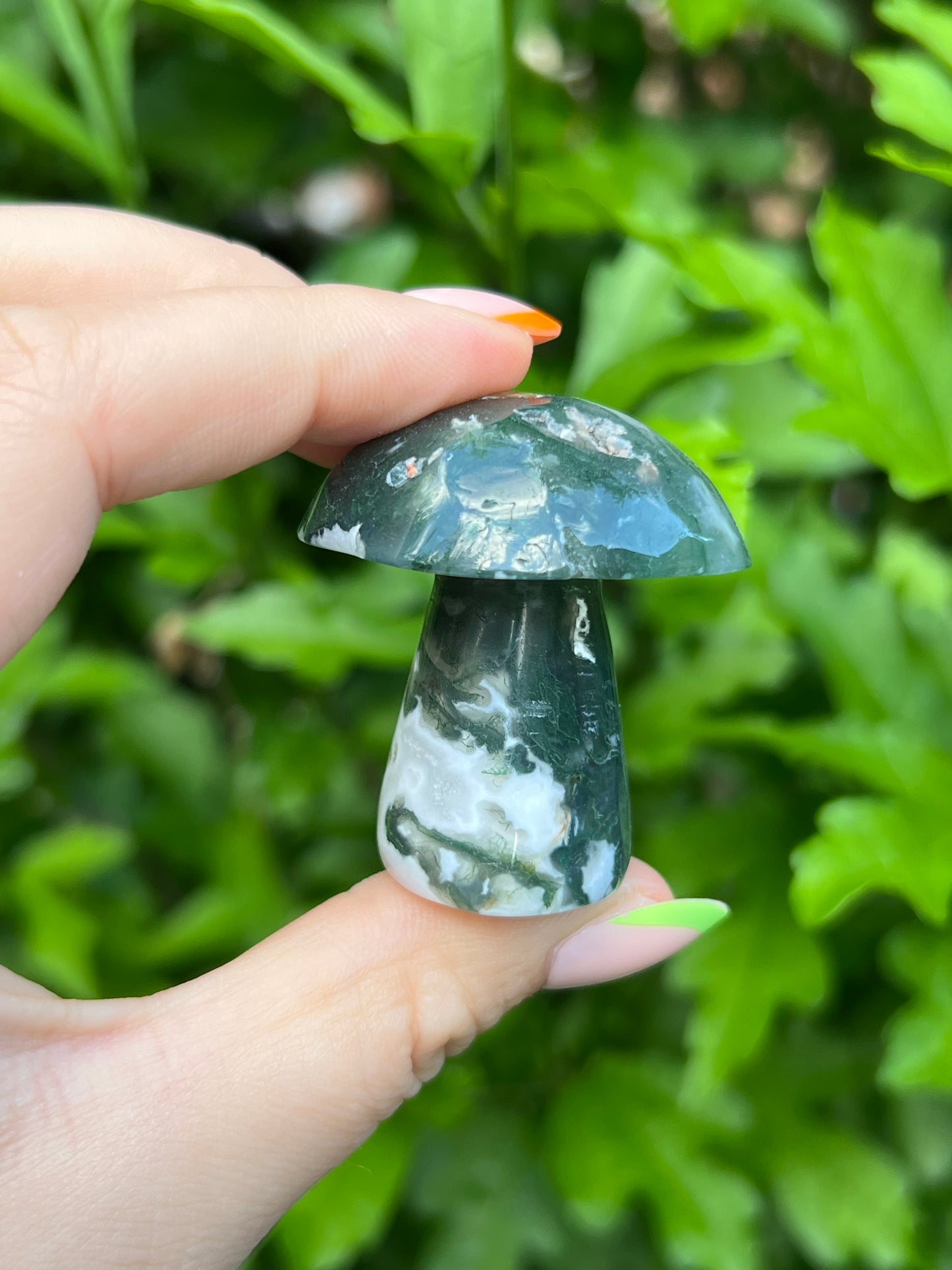 Druzy Moss Agate Mushroom