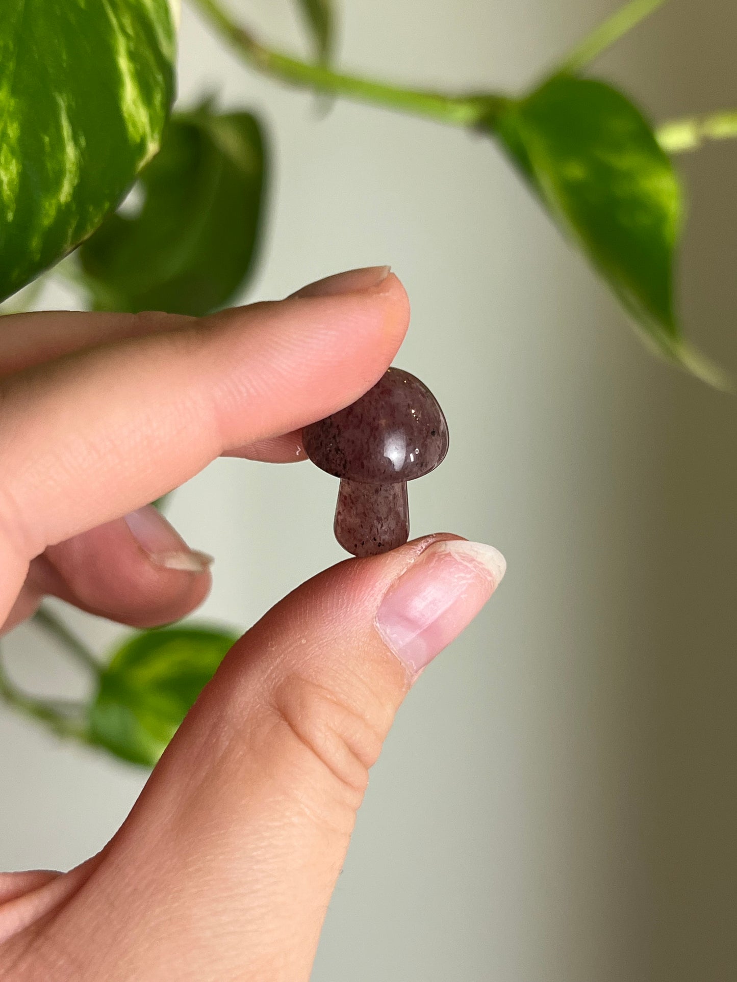 Strawberry Quartz Mini Mushie