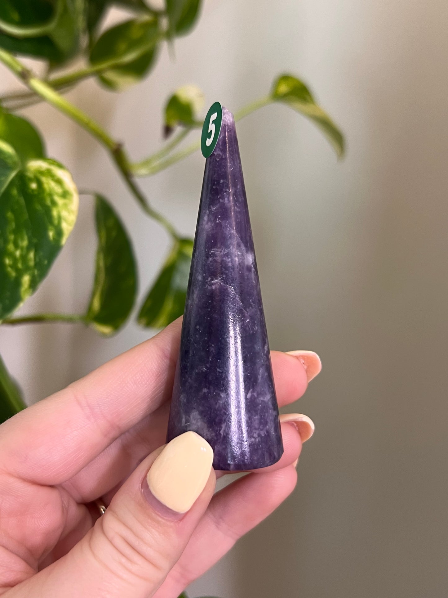 Lepidolite Ring Holder - 5