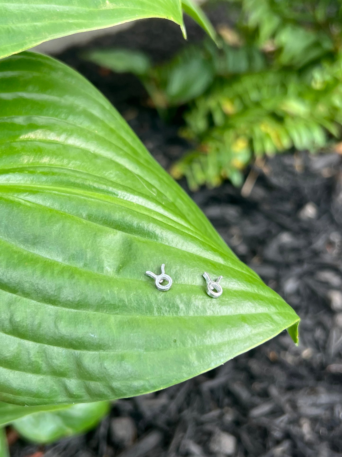 Taurus Silver Zodiac Sign Studs ♉️