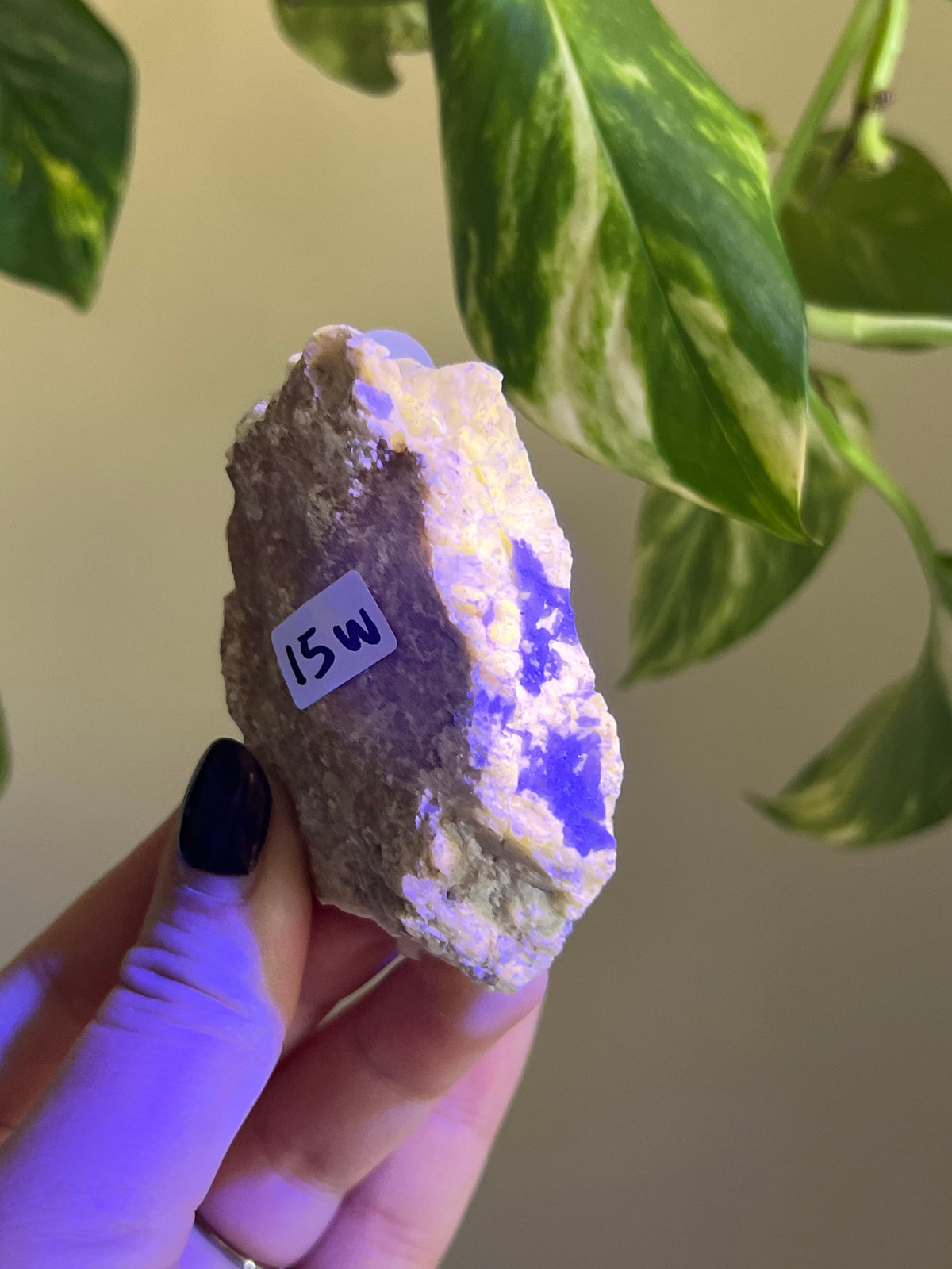 UV Reactive Meionite Scapolite Specimen - W