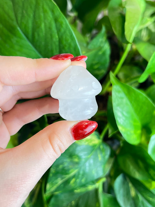 Clear Quartz Mushroom Pal
