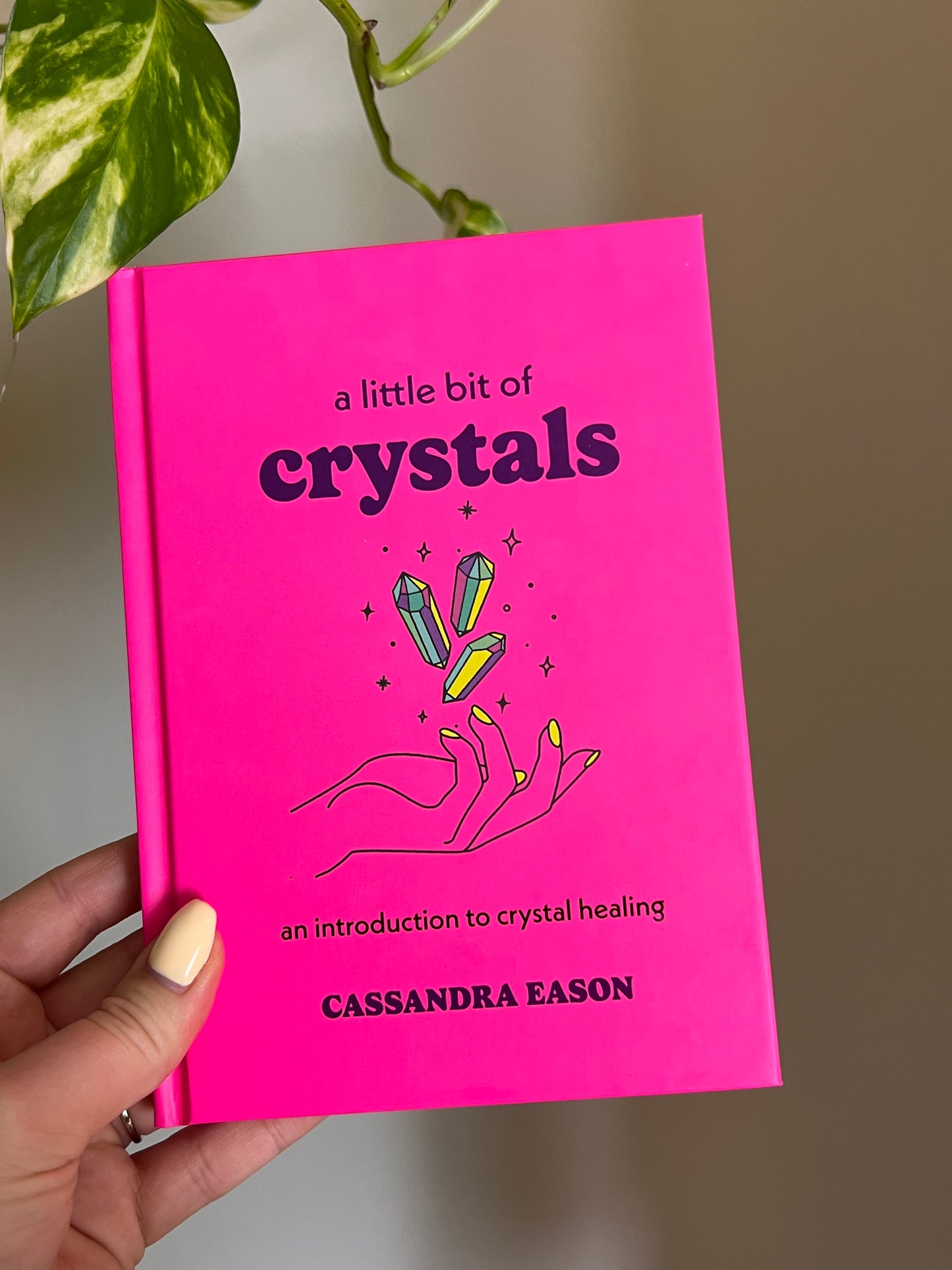 A Little Bit of Crystals Book