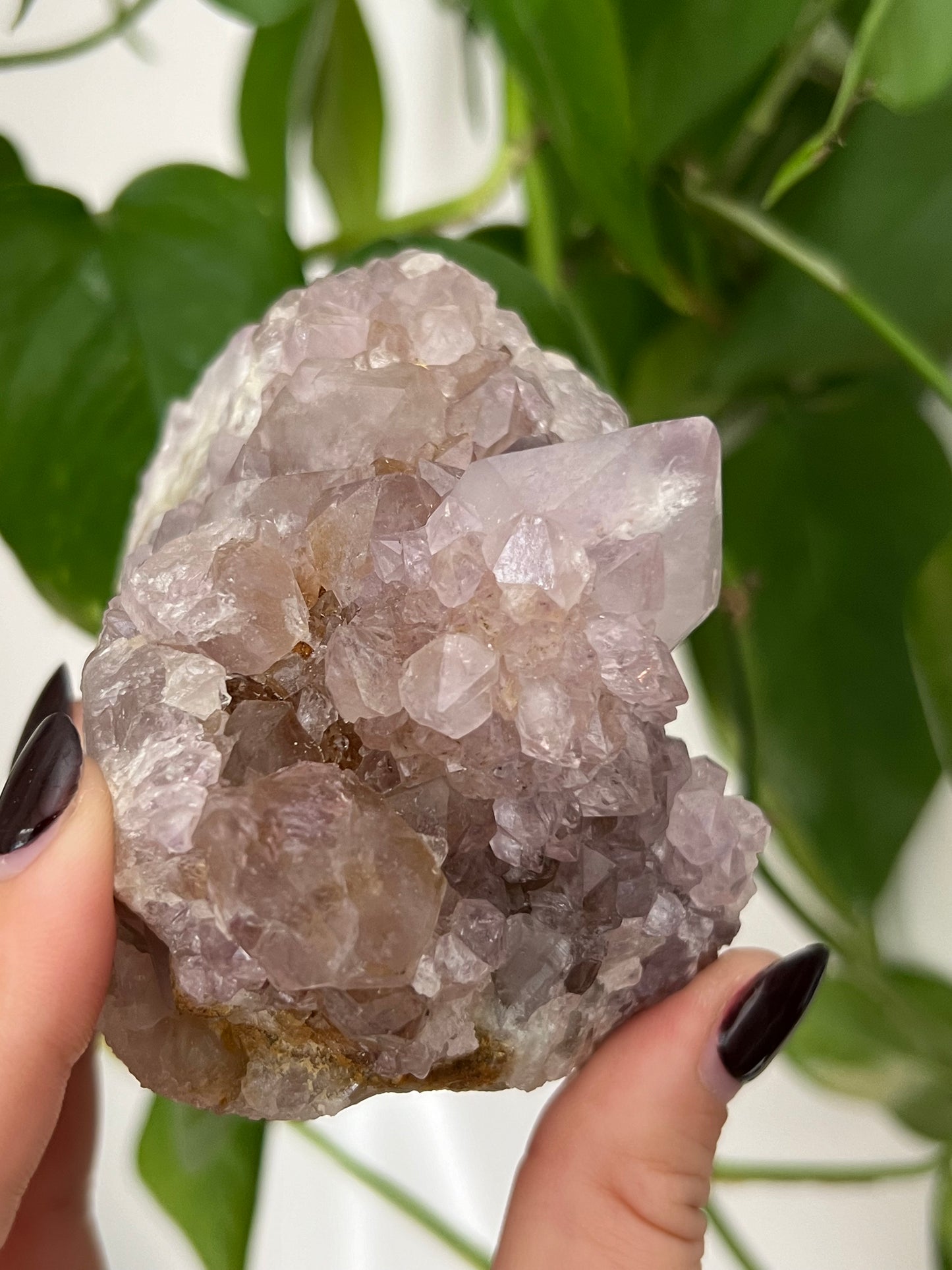 Amethyst Spirit Quartz Cluster RL