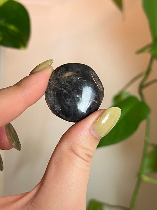 Flashy Black Moonstone Button