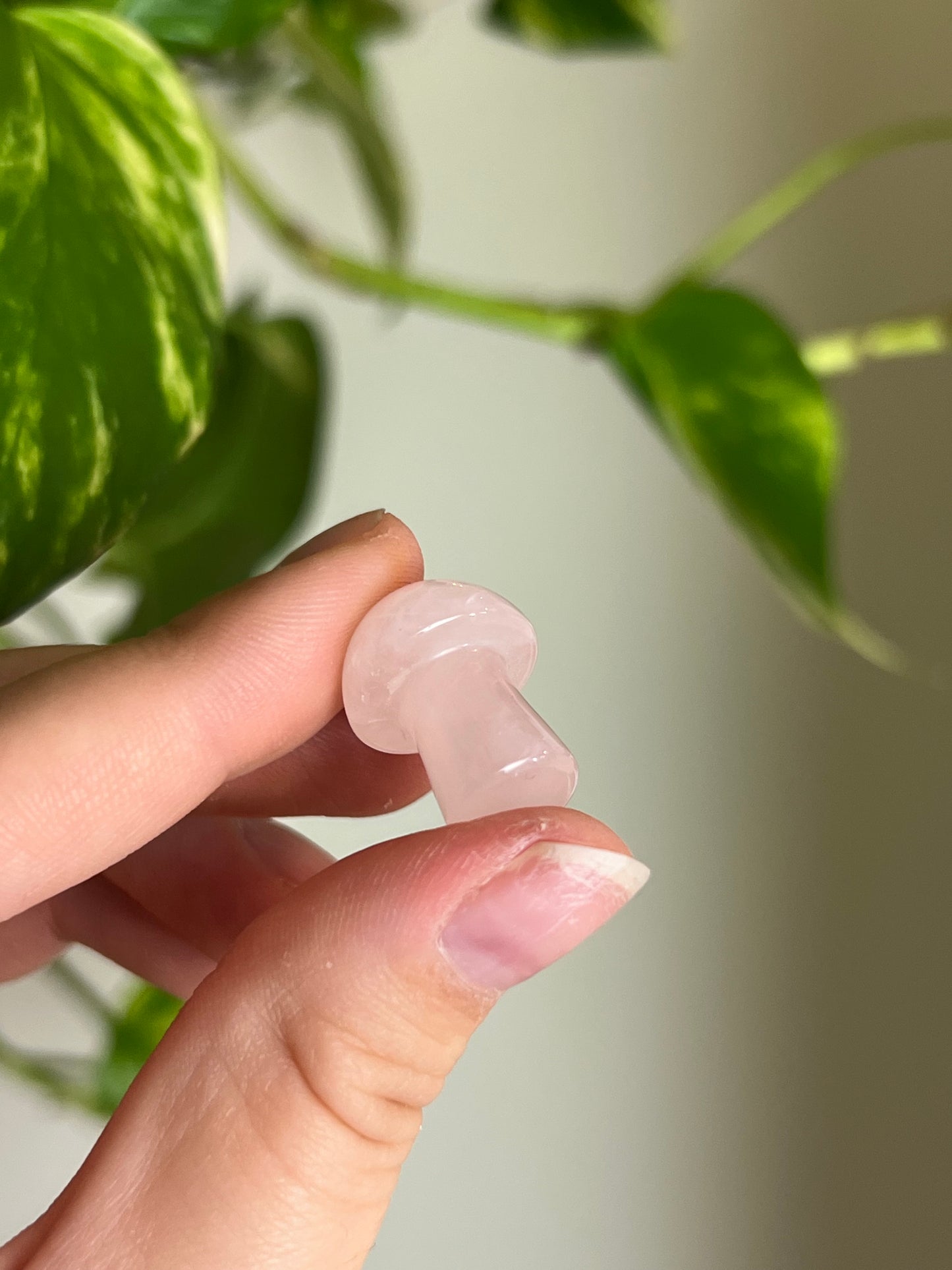 Rose Quartz Mini Mushie