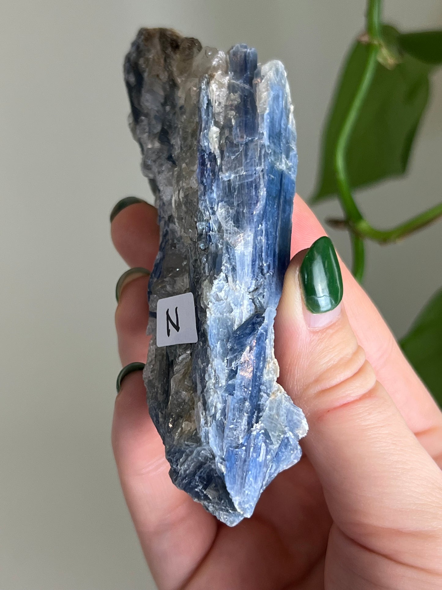 Blue Kyanite in Quartz N