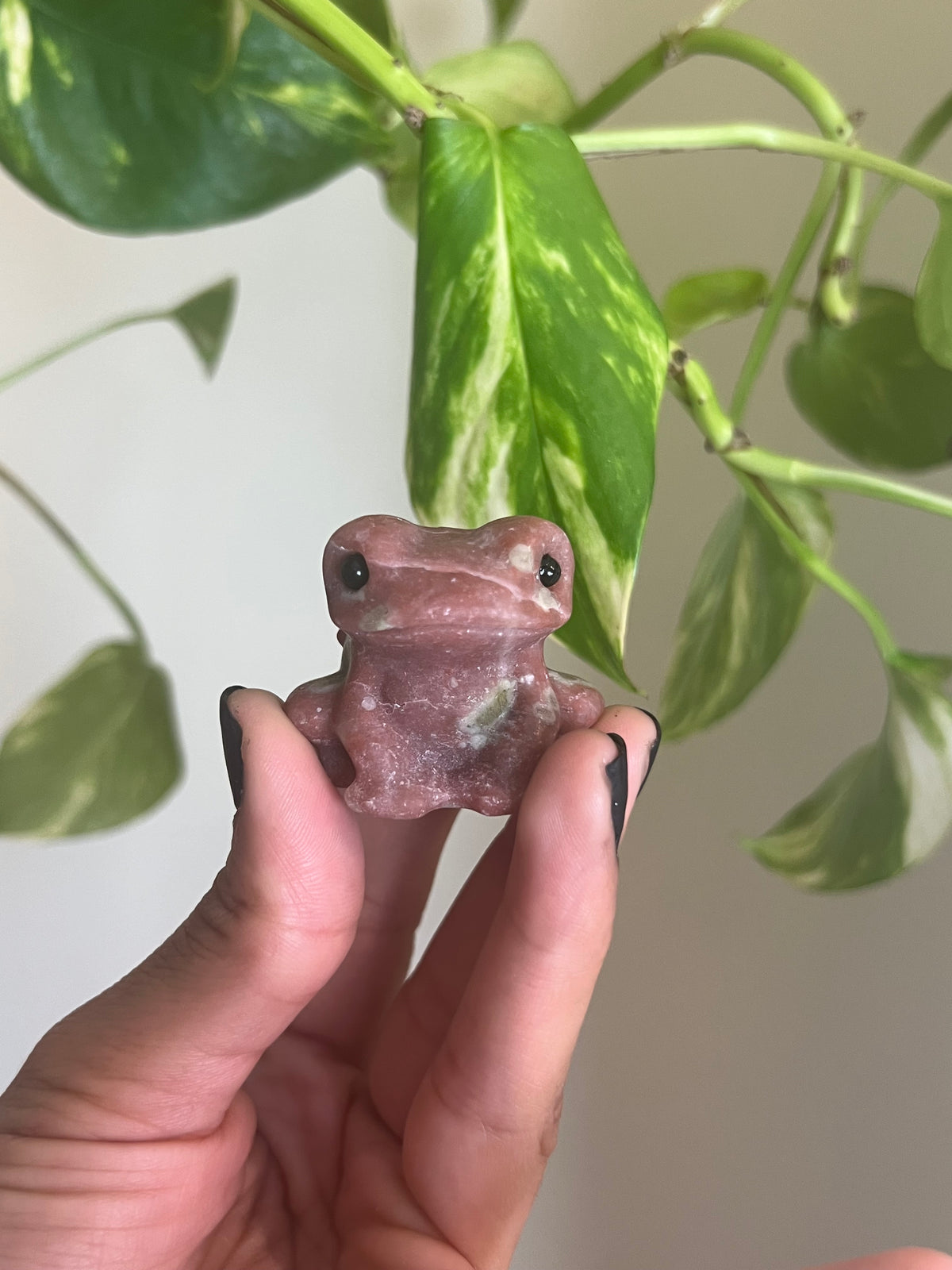 Plum Blossom Tourmaline x Serpentine Frog