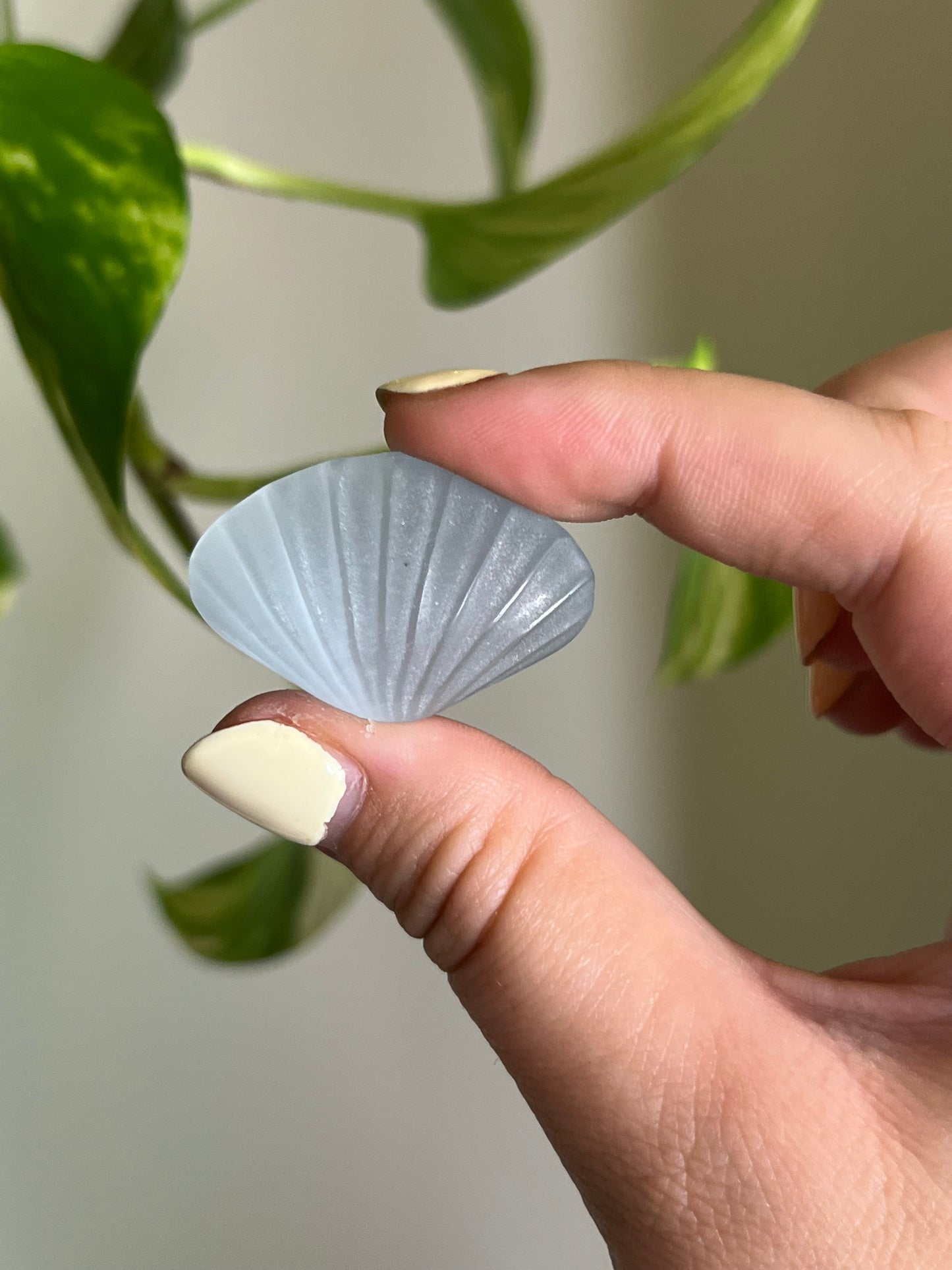 Pastel Blue Cats Eye Shell