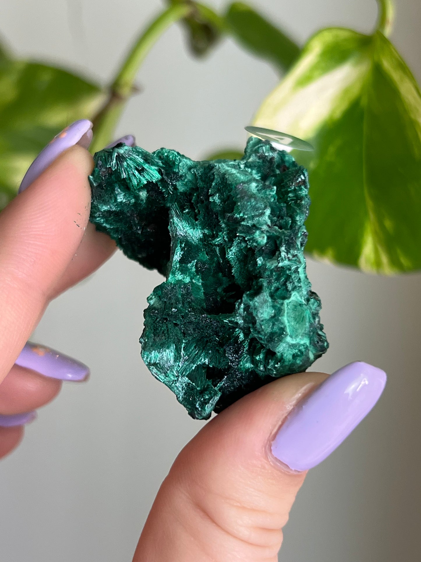 Fibrous Malachite - A