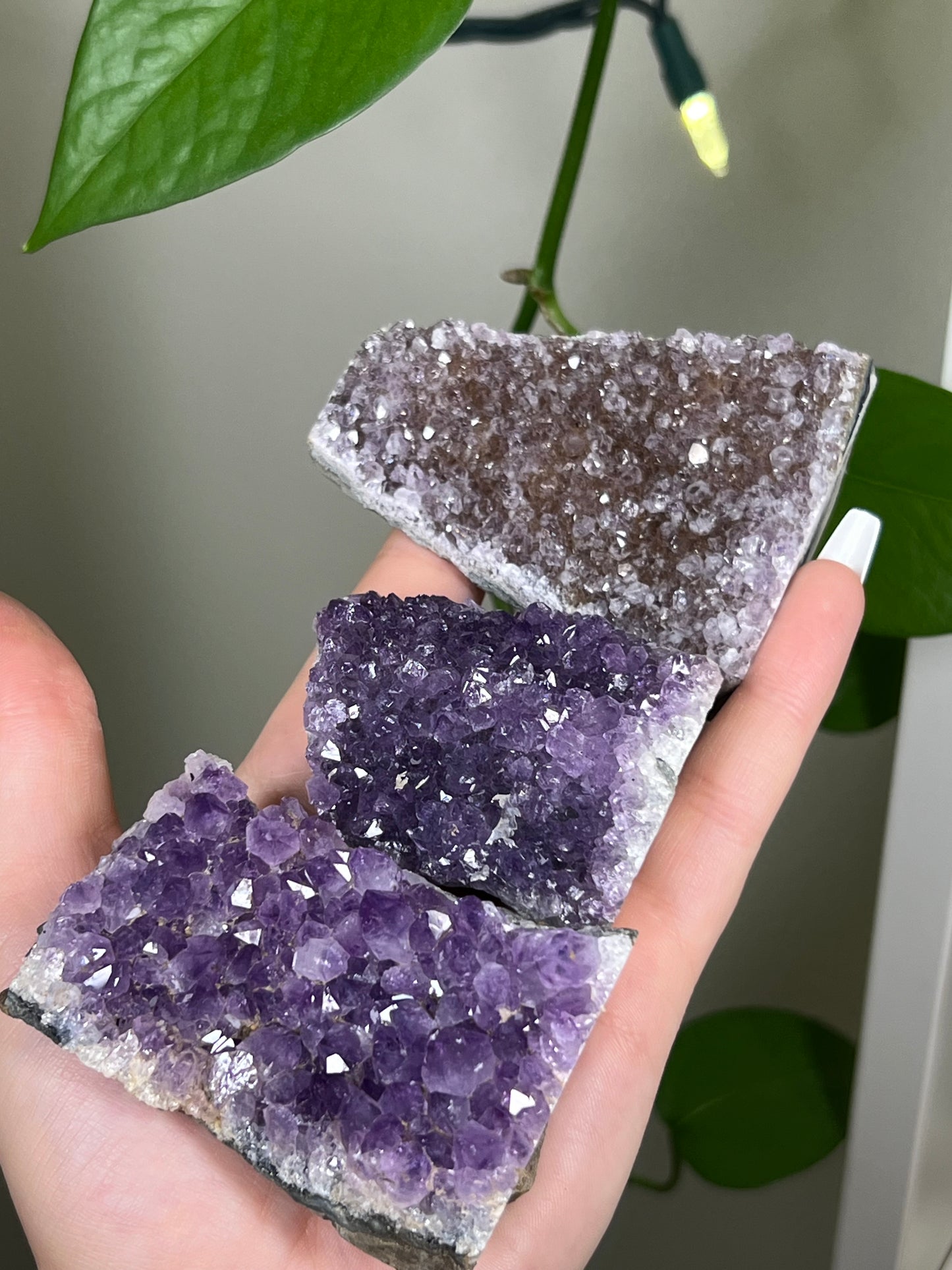 Amethyst Cluster Cut Base Freeform