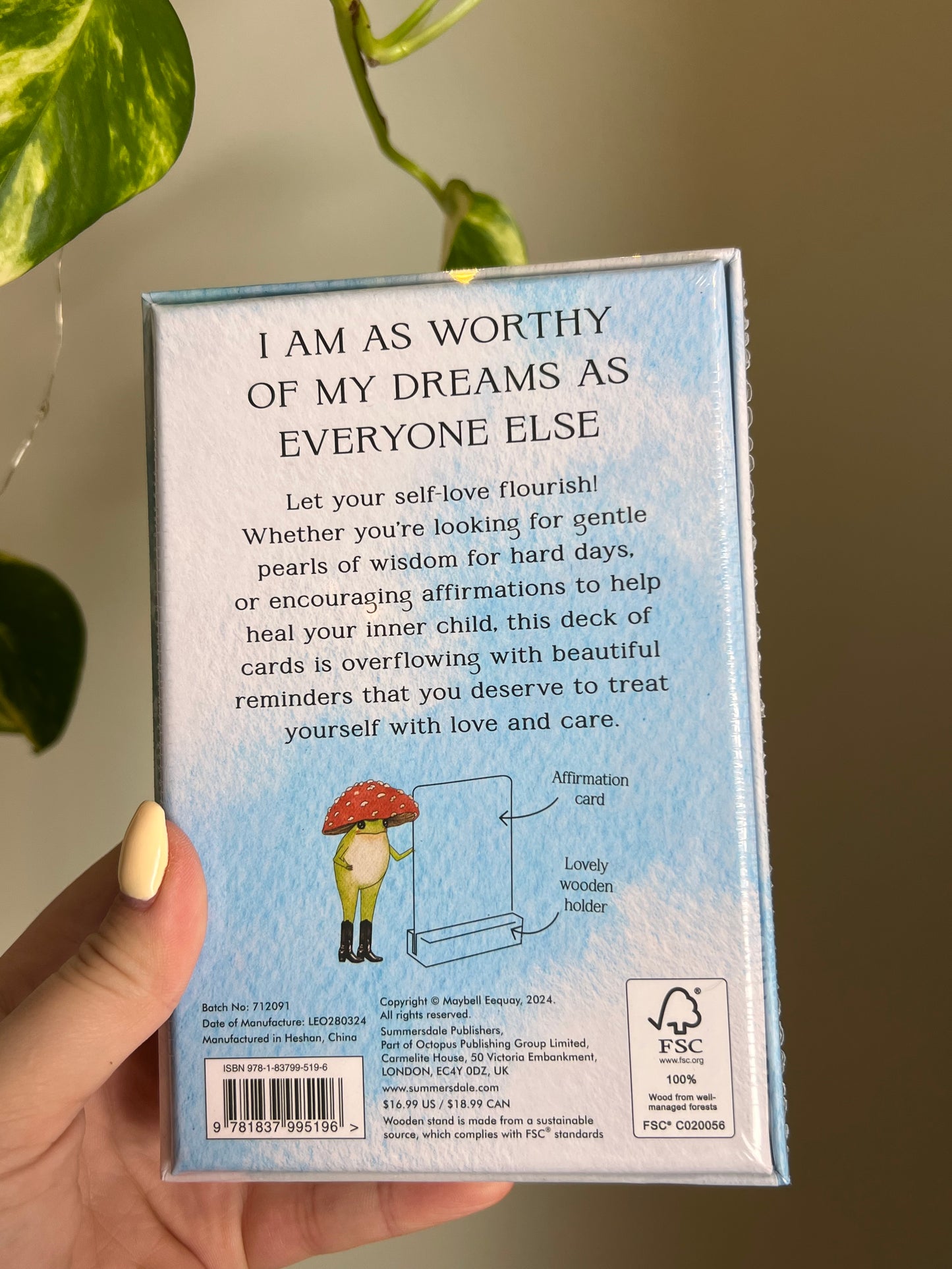 The Little Frog's Guide To Self-Care Deck