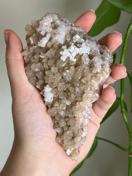 Selenite and Calcite Cluster