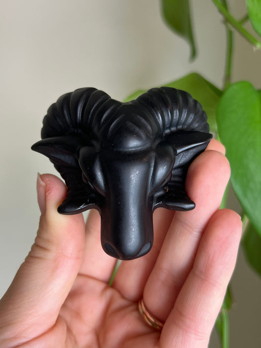 Black Obsidian Ram