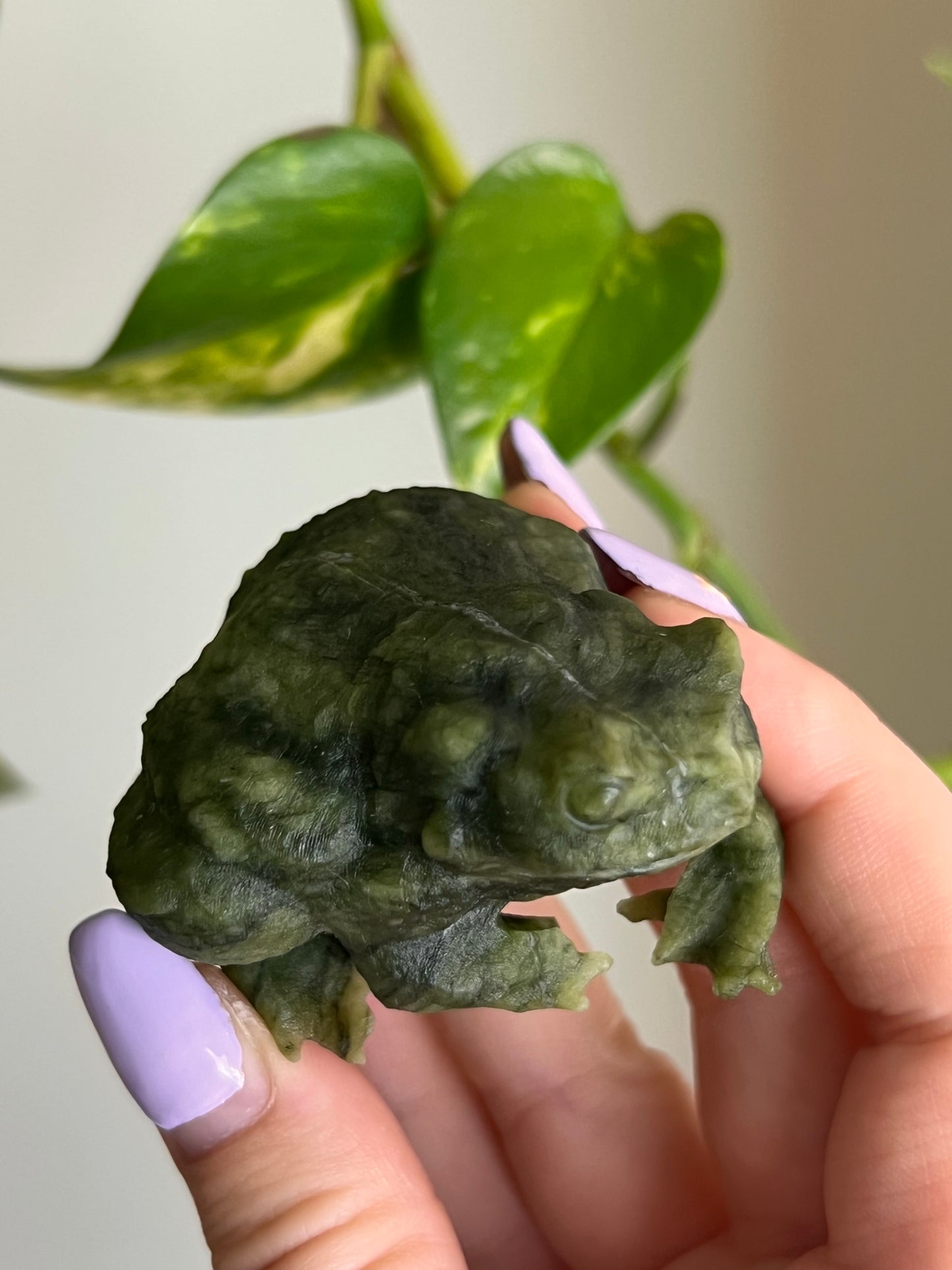 Jade Toad