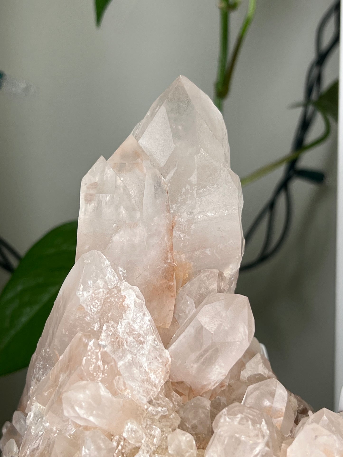 Himalayan Quartz Cluster - Extra Large