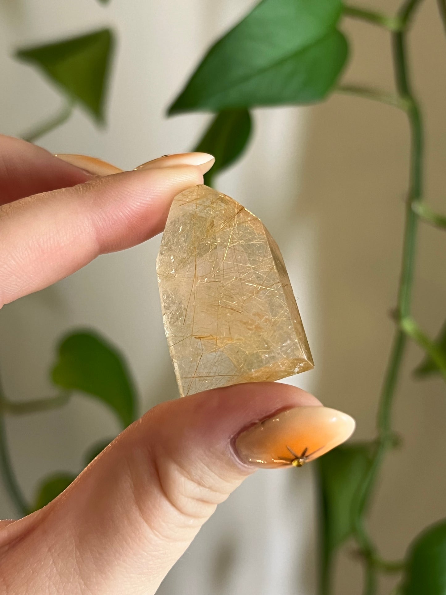 Golden Rutile Quartz Gusher - X