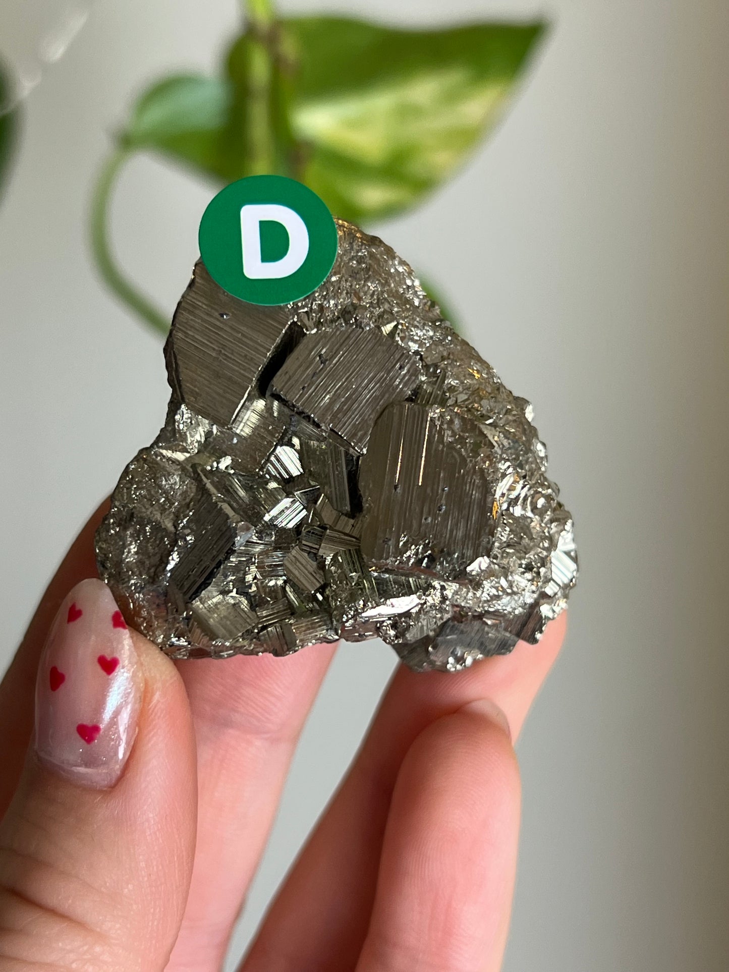 Pyrite Cluster - D