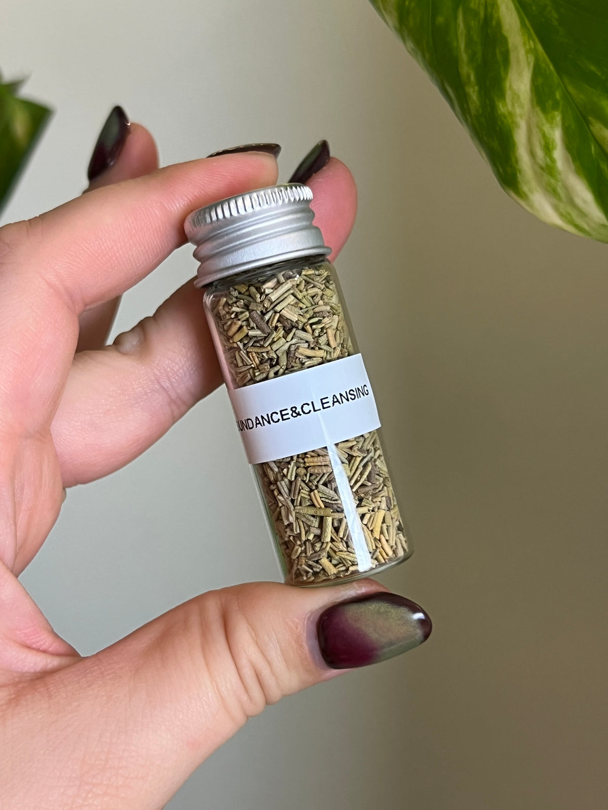 Rosemary Herb Vial -  Abundance + Cleansing
