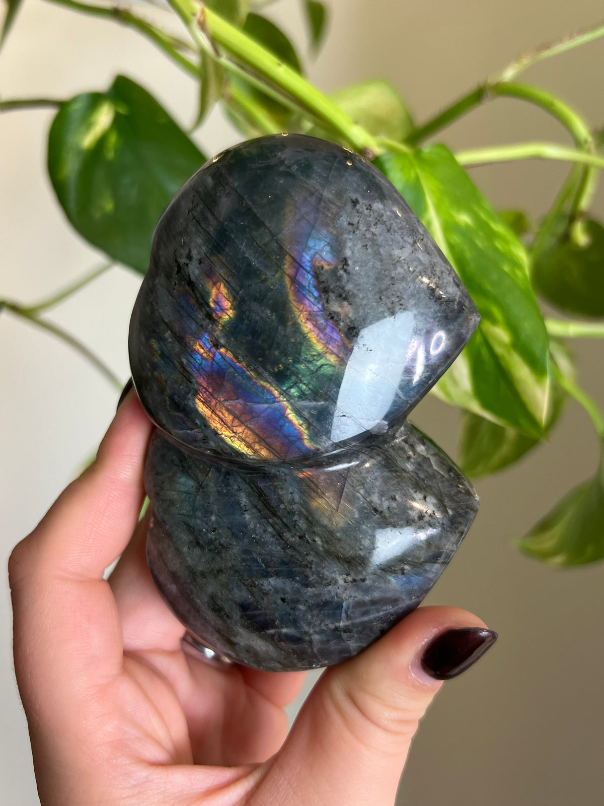 Flashy Labradorite Hugging Heart Duo on Stand
