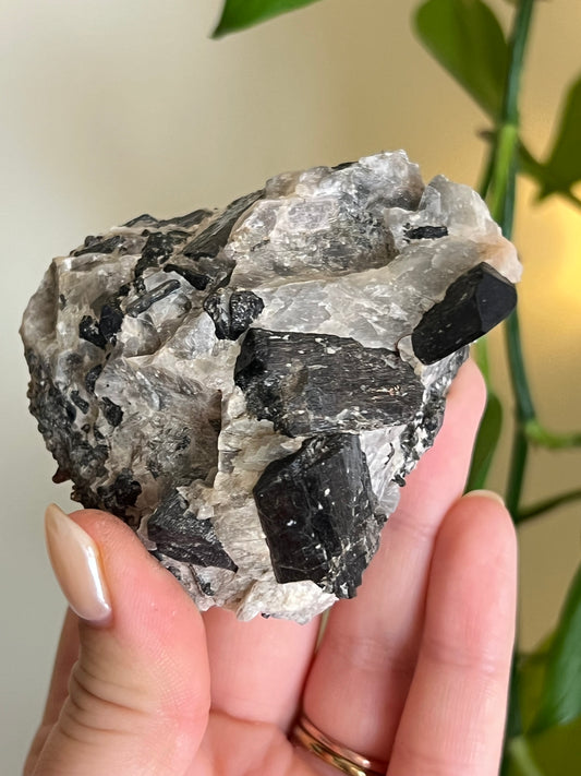 Fluororichterite & Mica Specimen From Ontario T