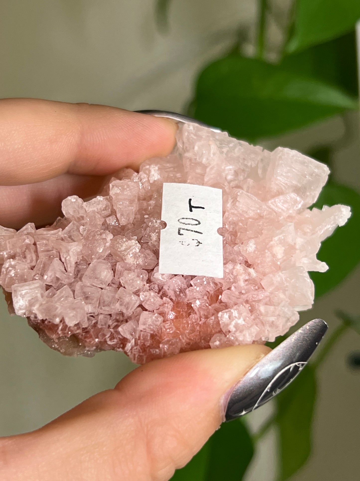 Pink Halite Cluster T | Rare