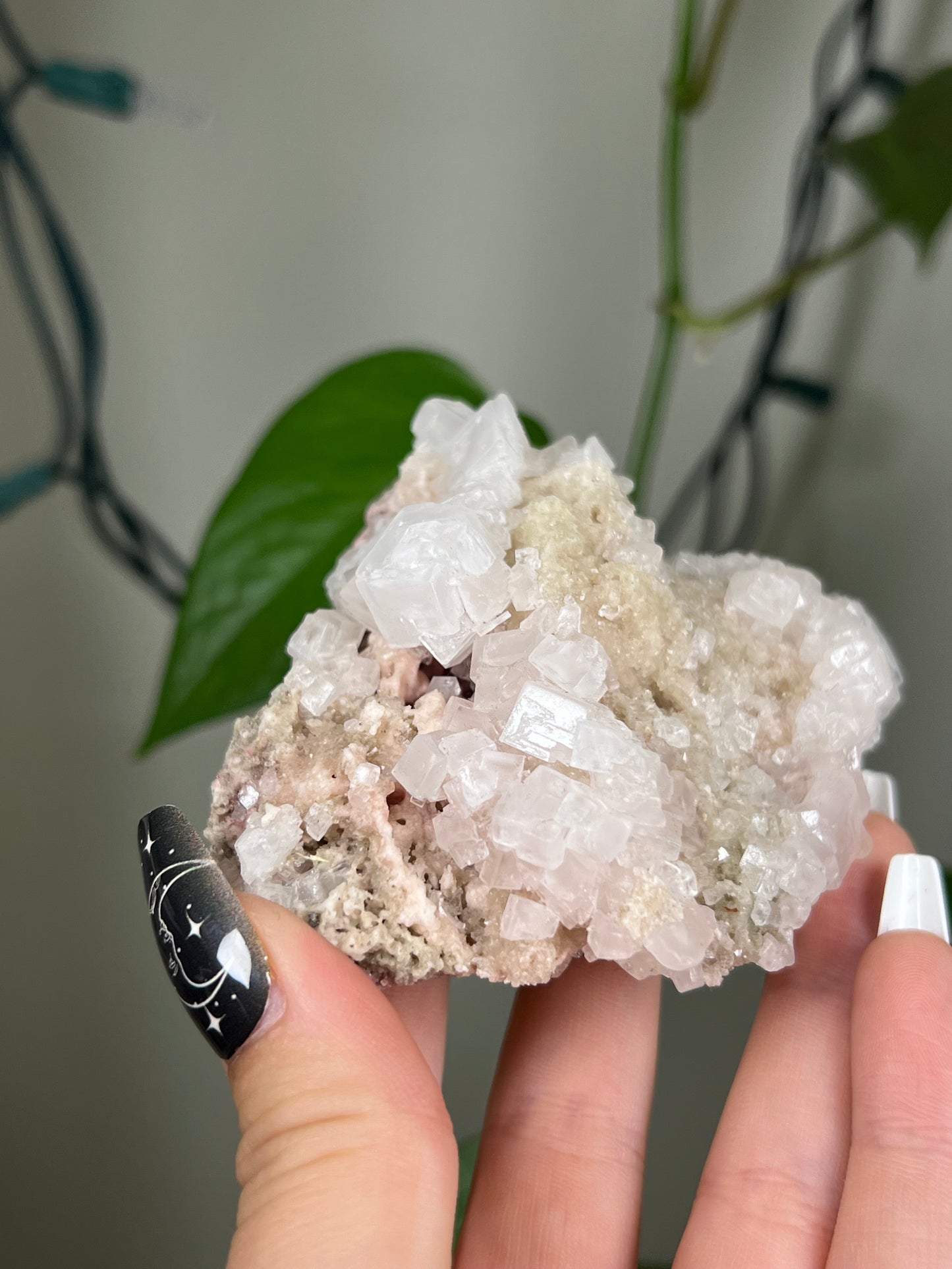 Pastel Pink Halite Cluster - Rare