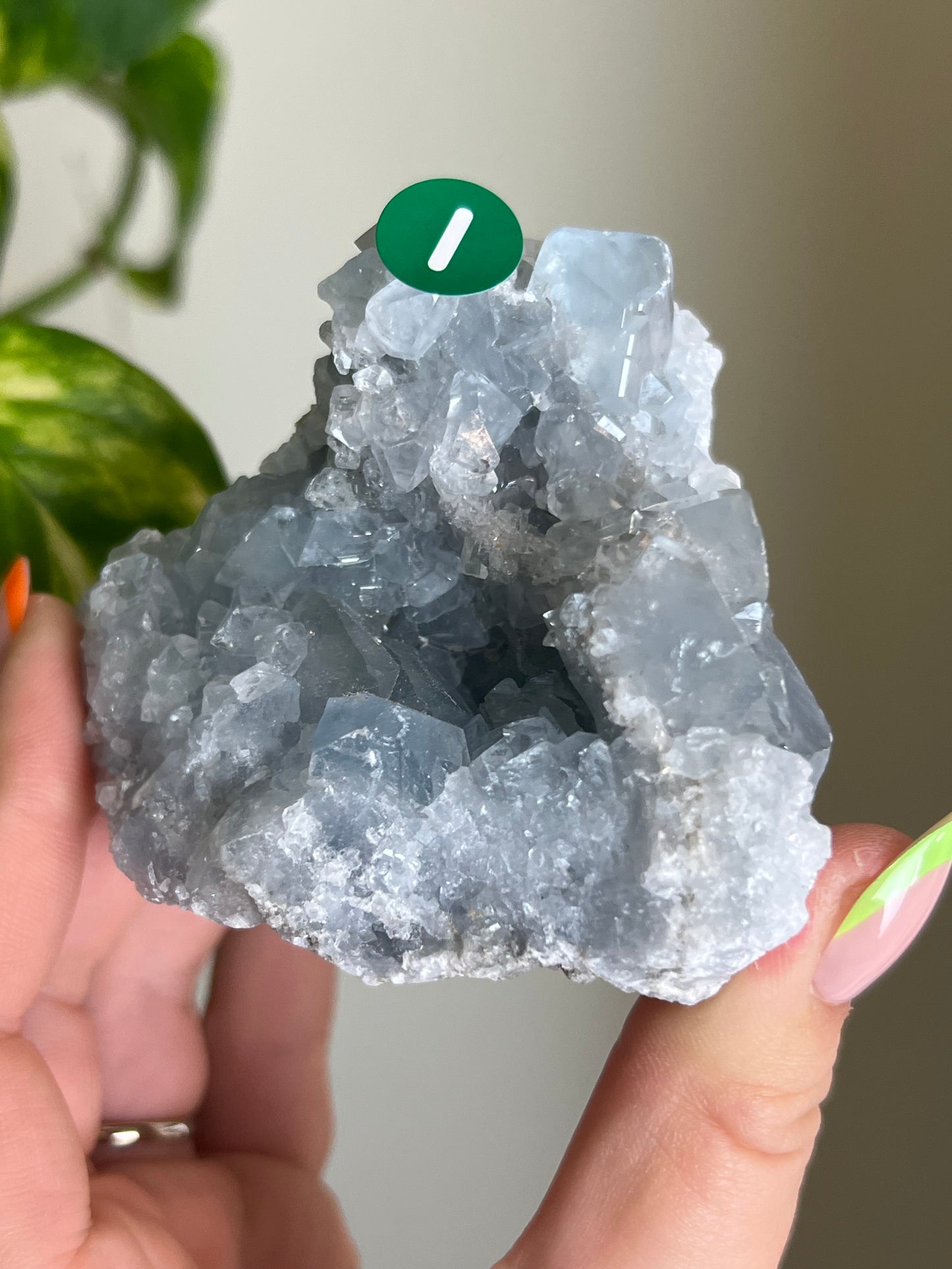 Celestite Cluster - I 🌊