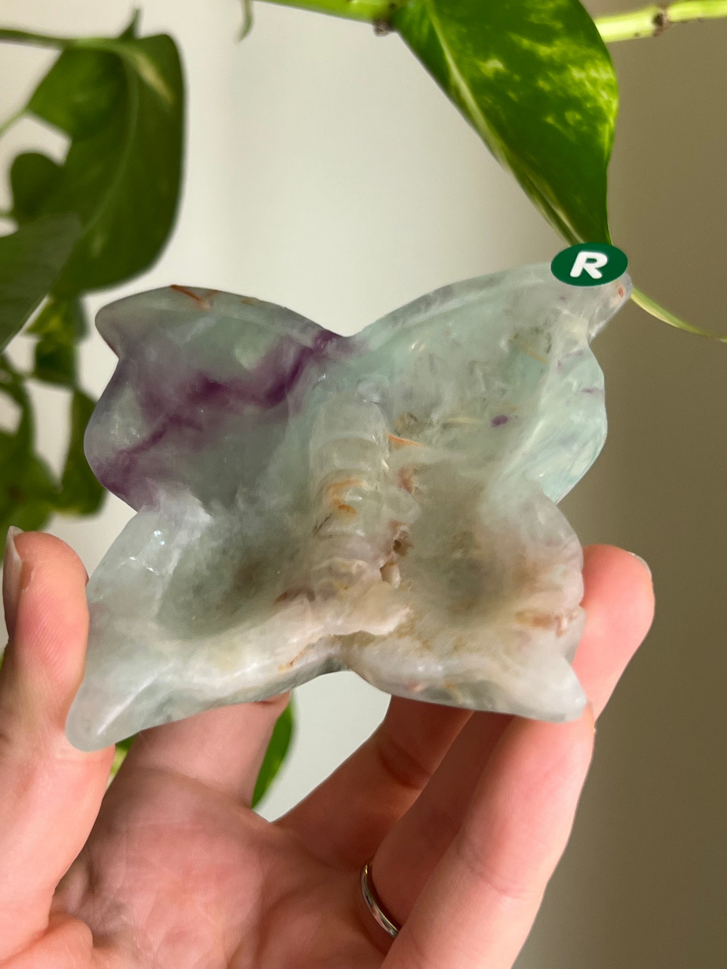 Rainbow Fluorite Butterfly Dish - R