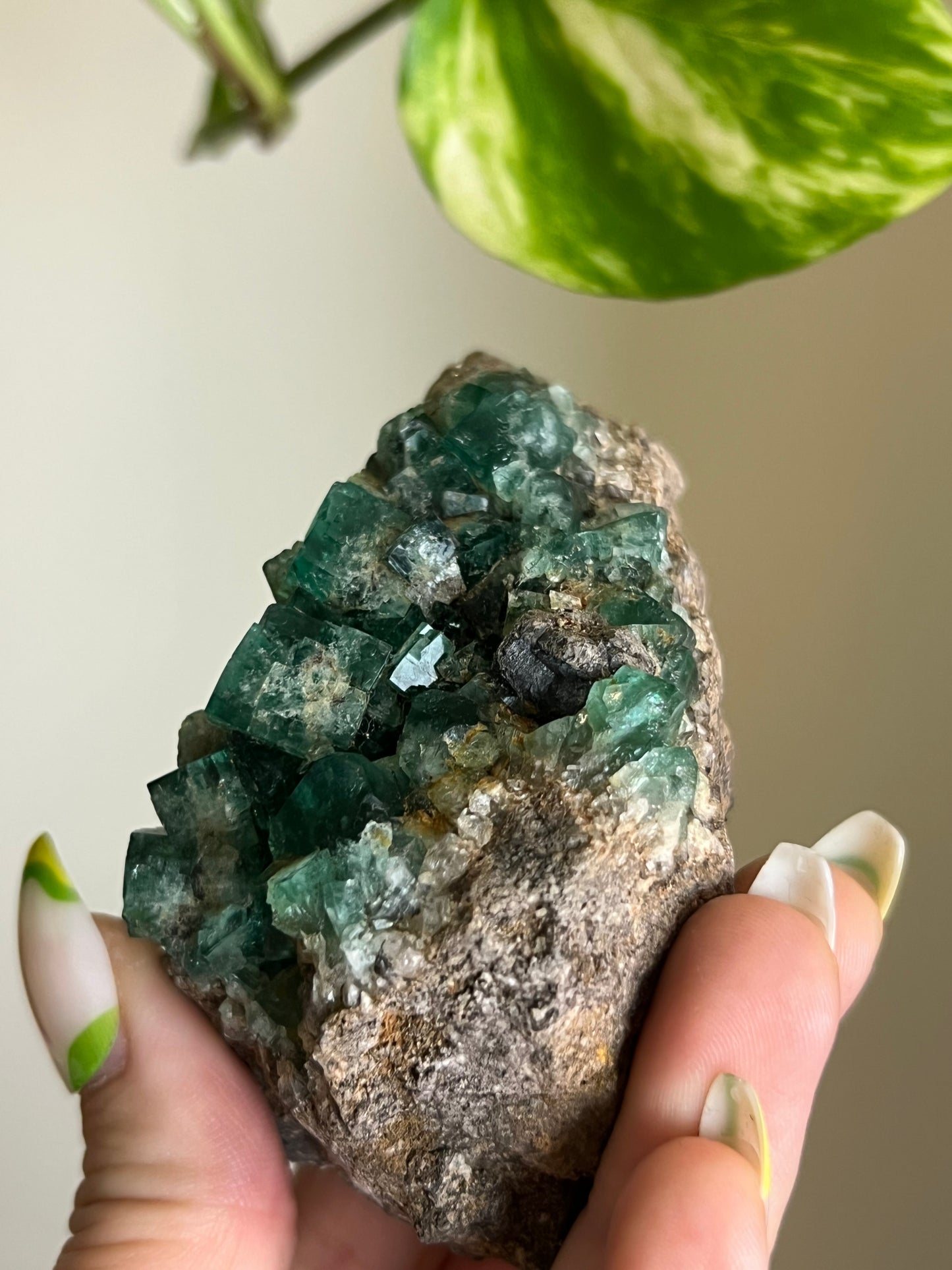 Green Cubic Fluorite Cluster - 4